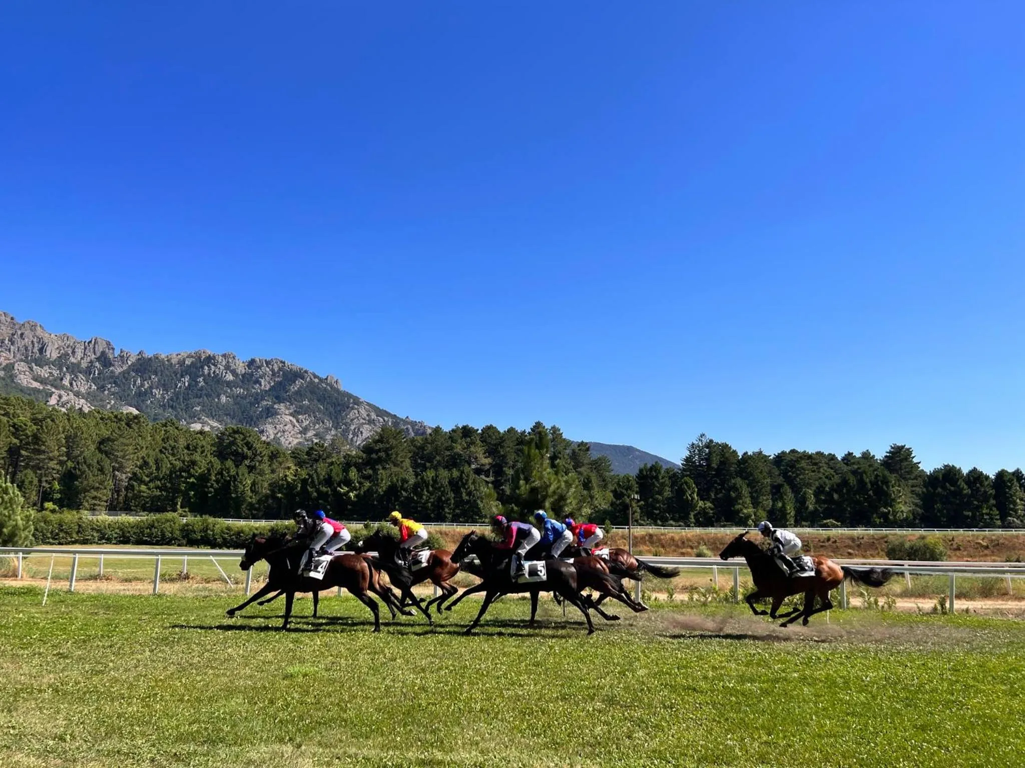 Horse-riding in Hôtel confidentiel Le Grecale