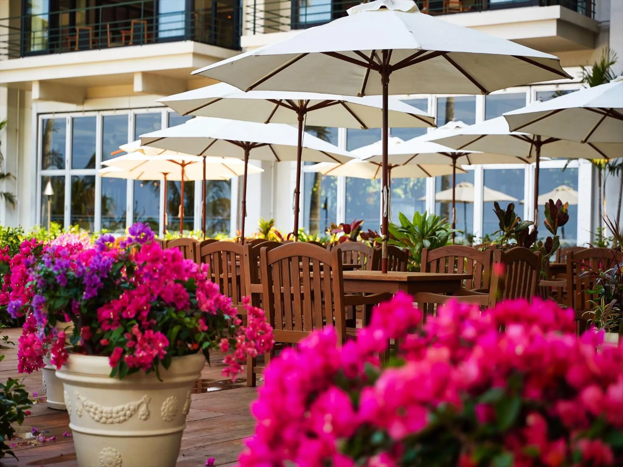 Patio in Palace In Moon Beach