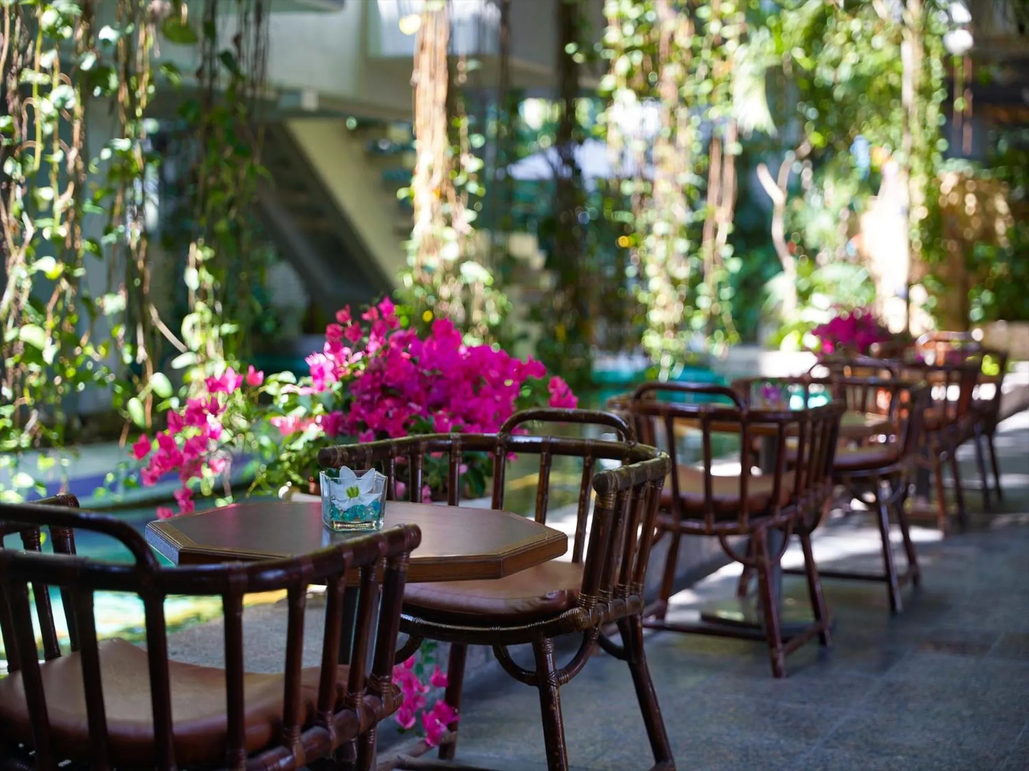 Patio in Palace In Moon Beach