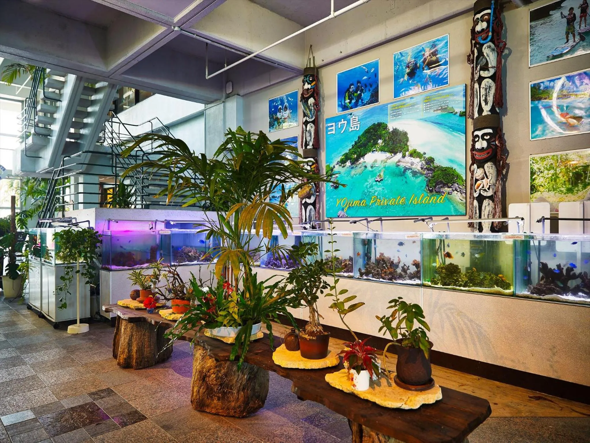 Animals in Palace In Moon Beach