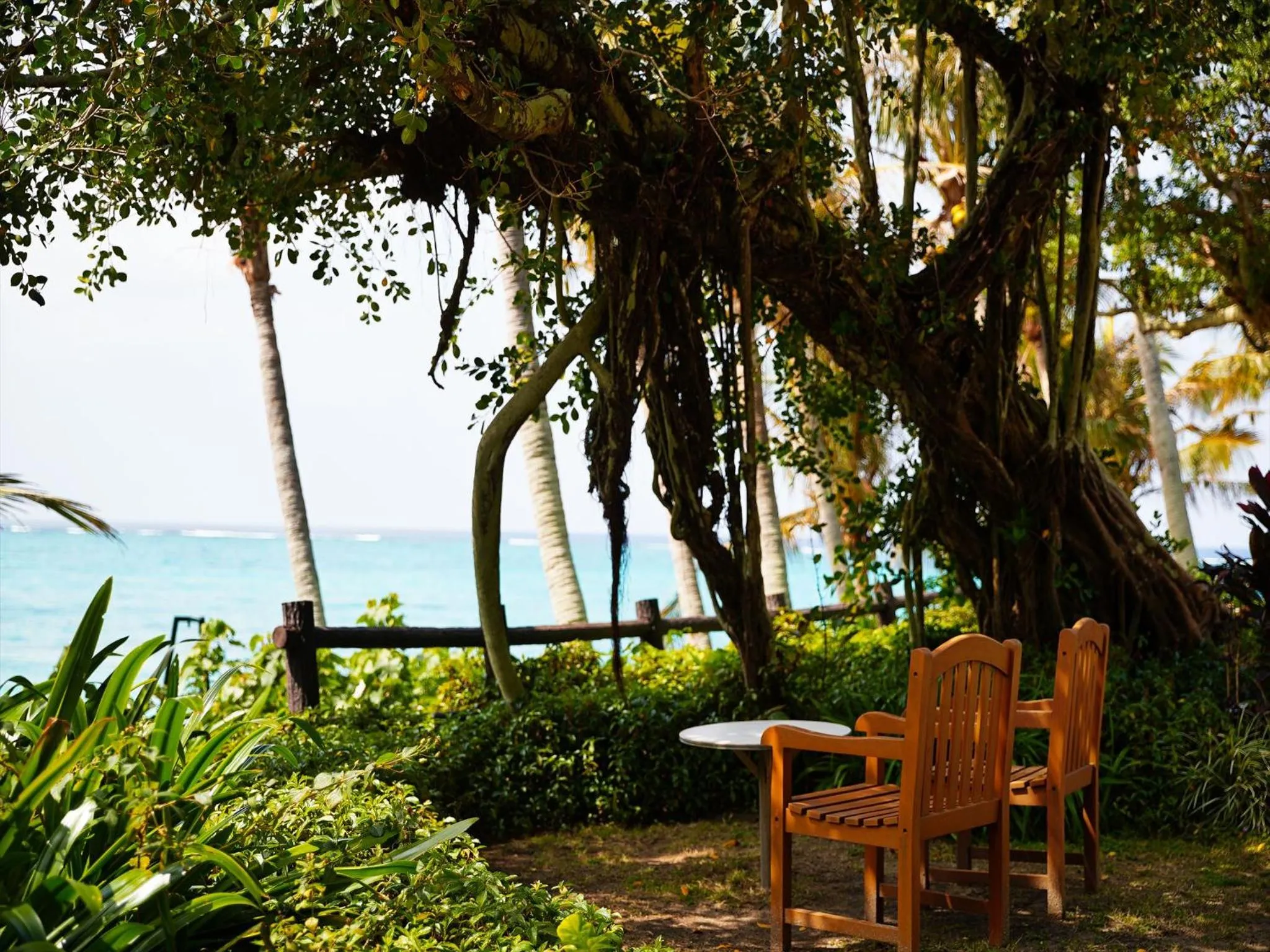 Natural landscape in Palace In Moon Beach