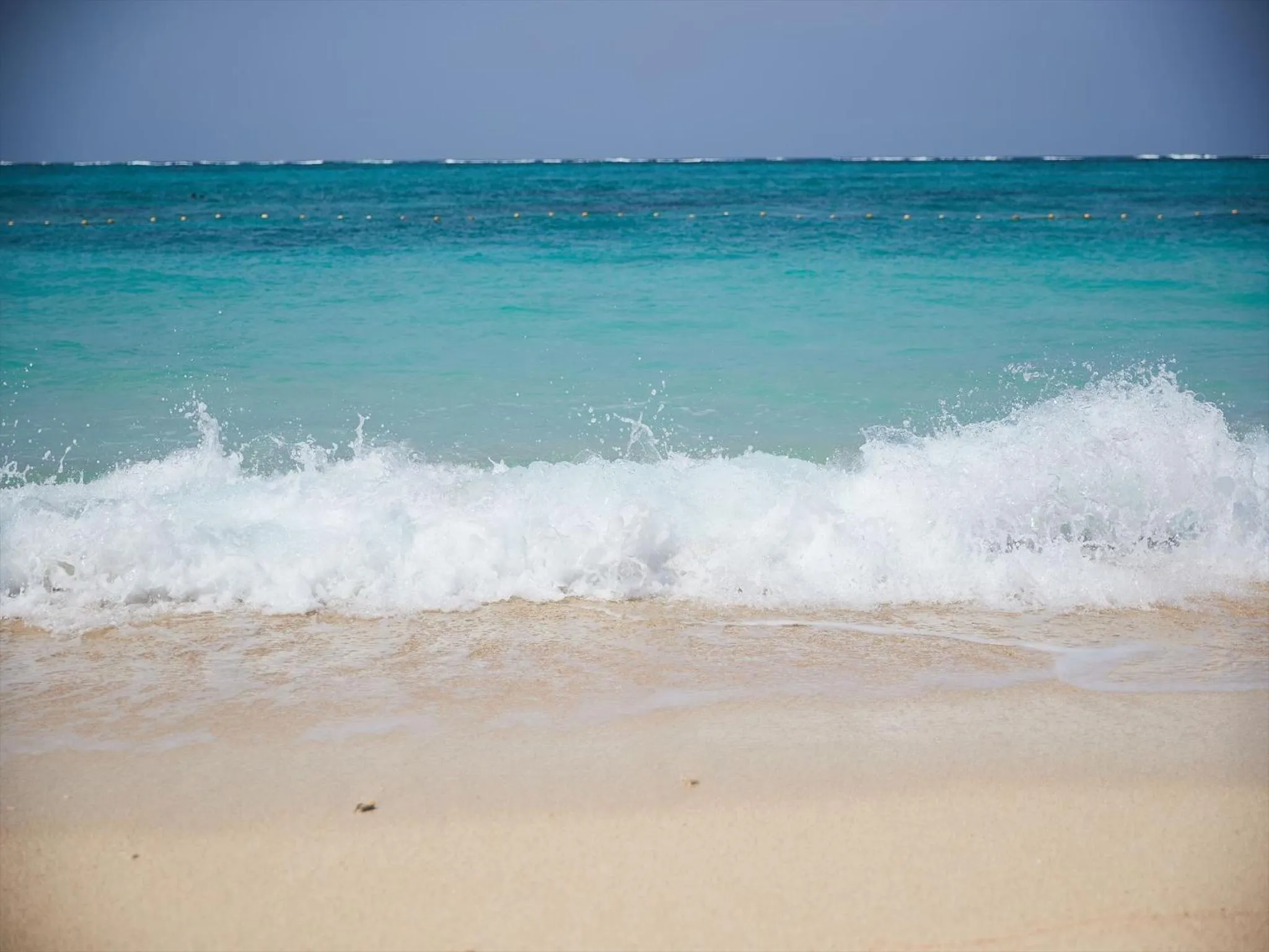 Beach in Palace In Moon Beach