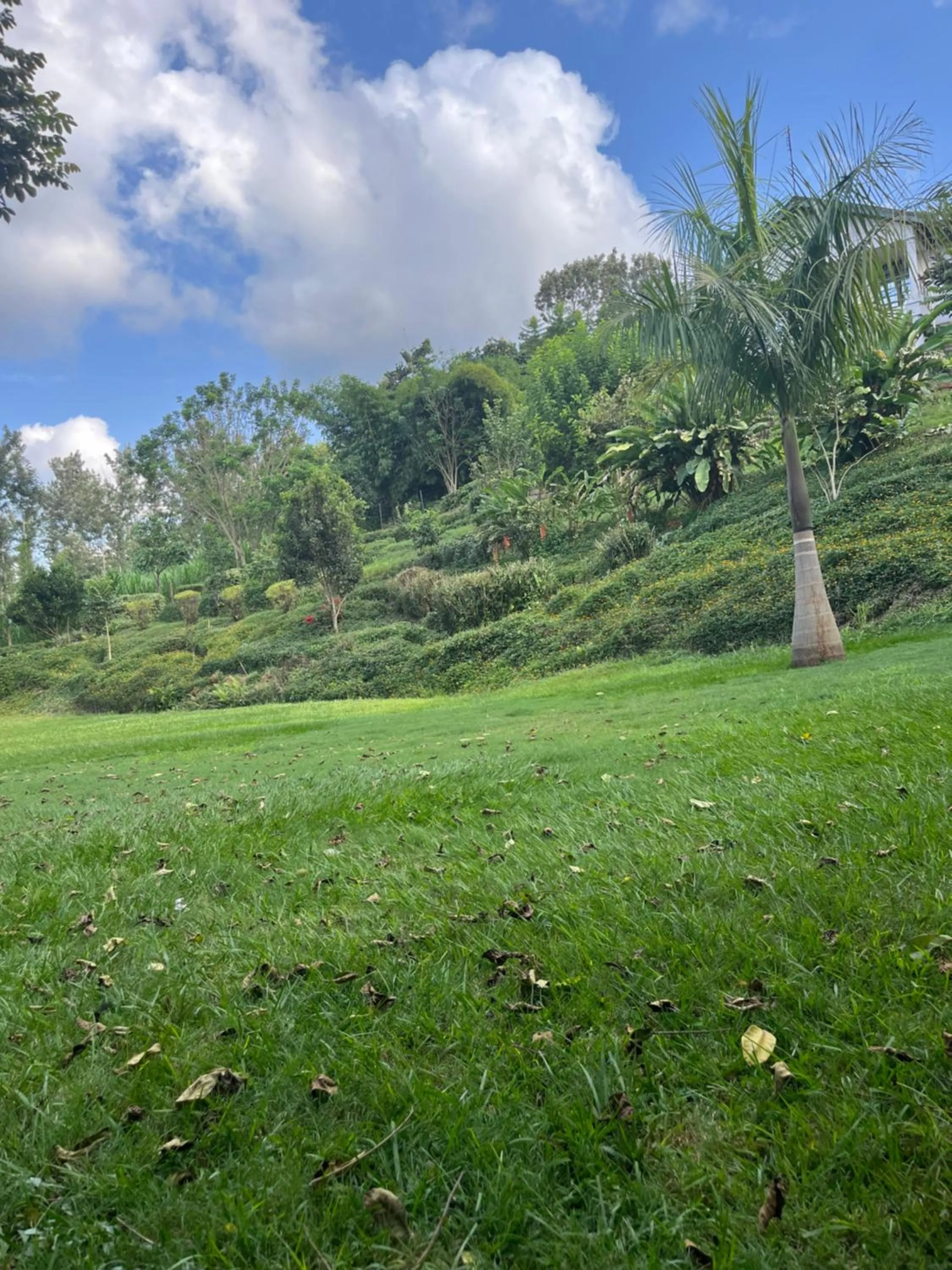 Garden view in Bubbles Restaurant Thika