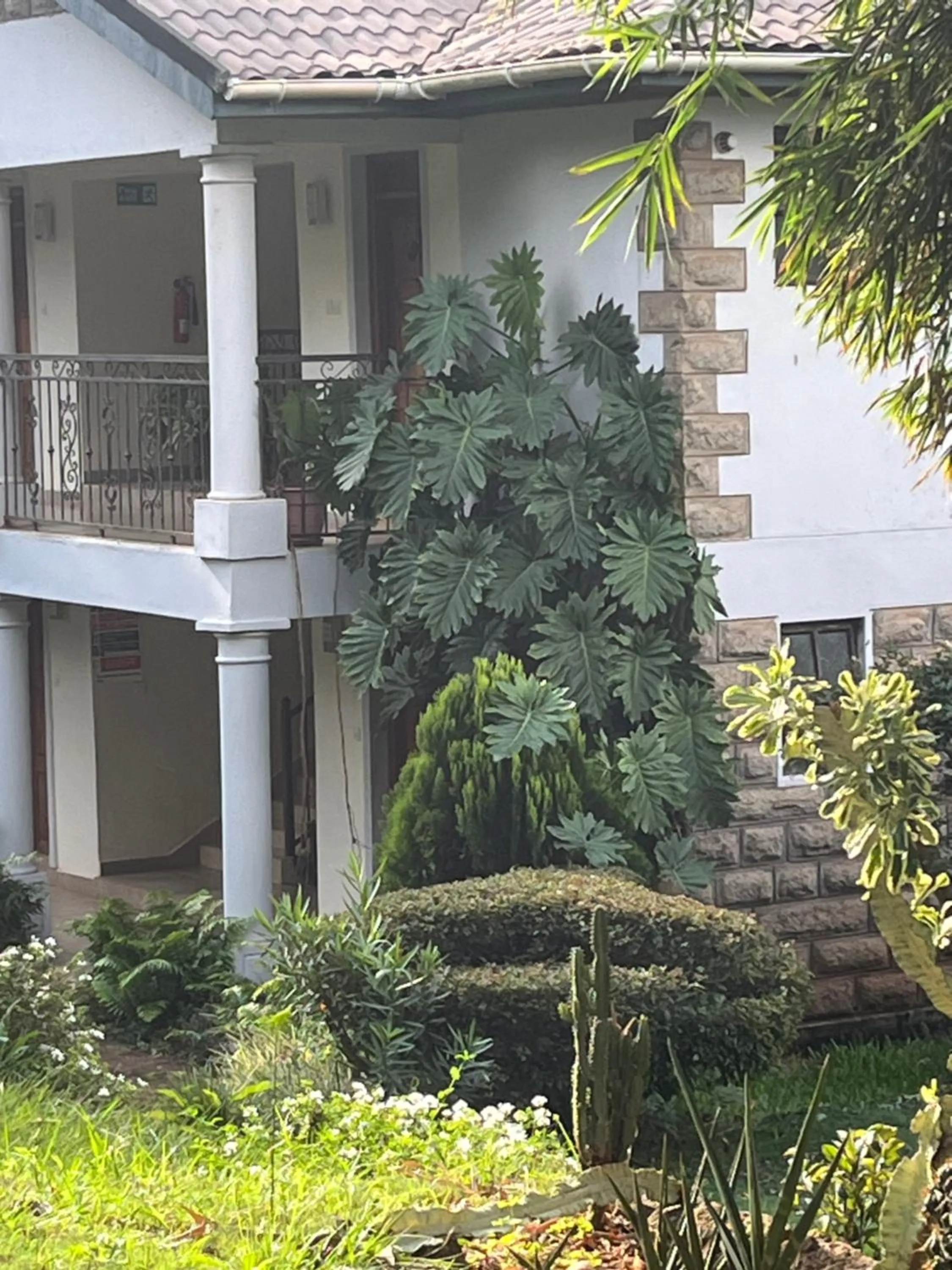 Property building in Bubbles Restaurant Thika