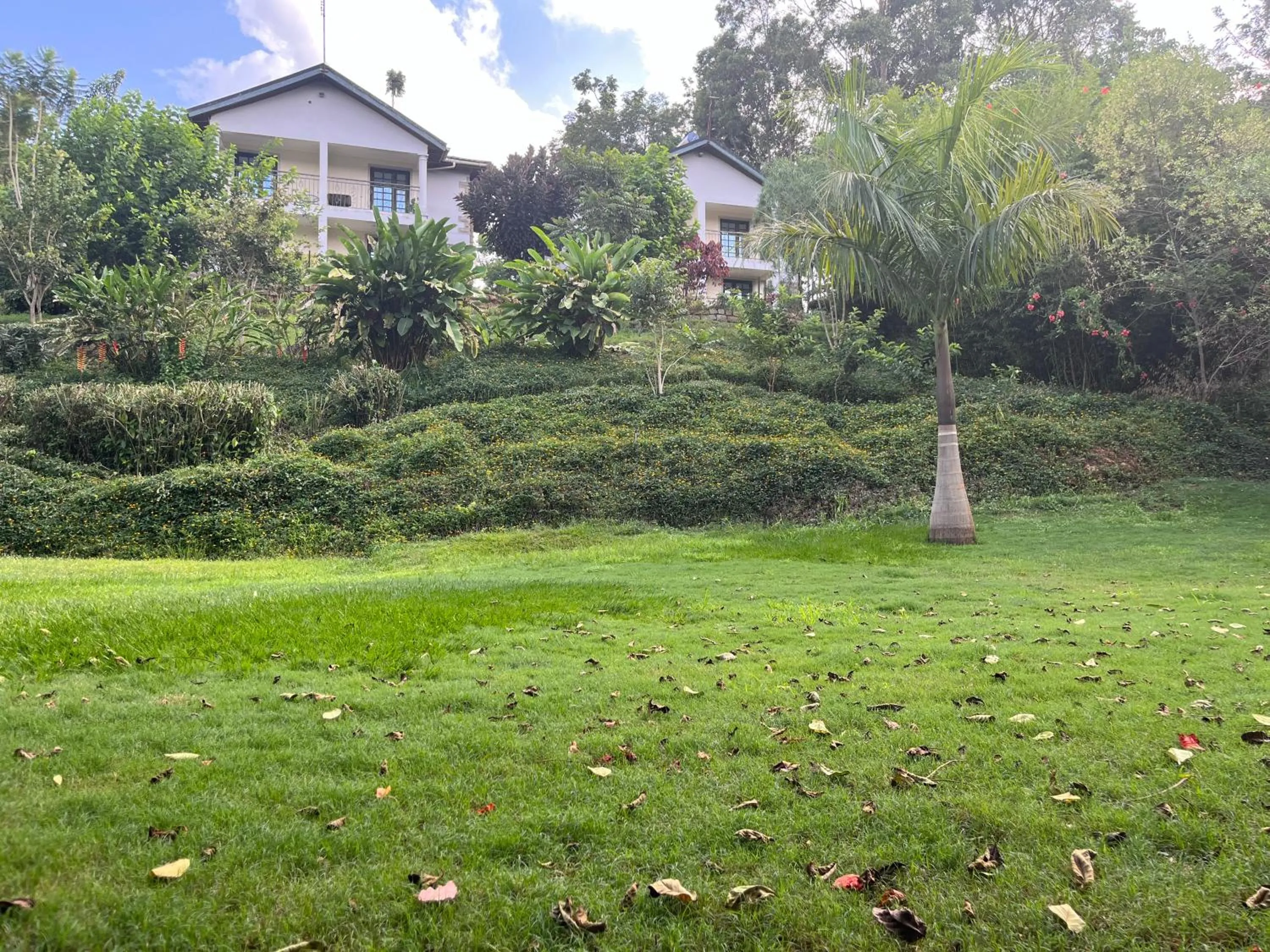 Property building in Bubbles Restaurant Thika