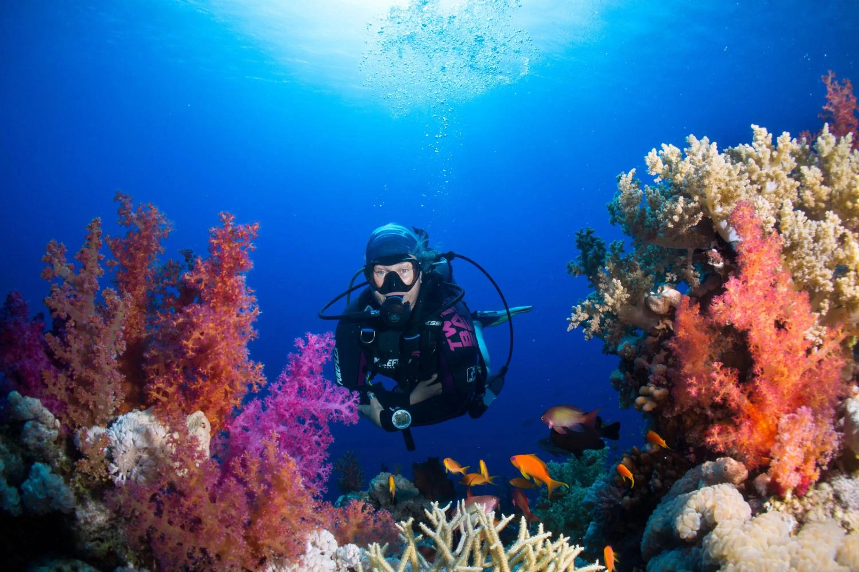 Umbi Sharks Bay Diving Village