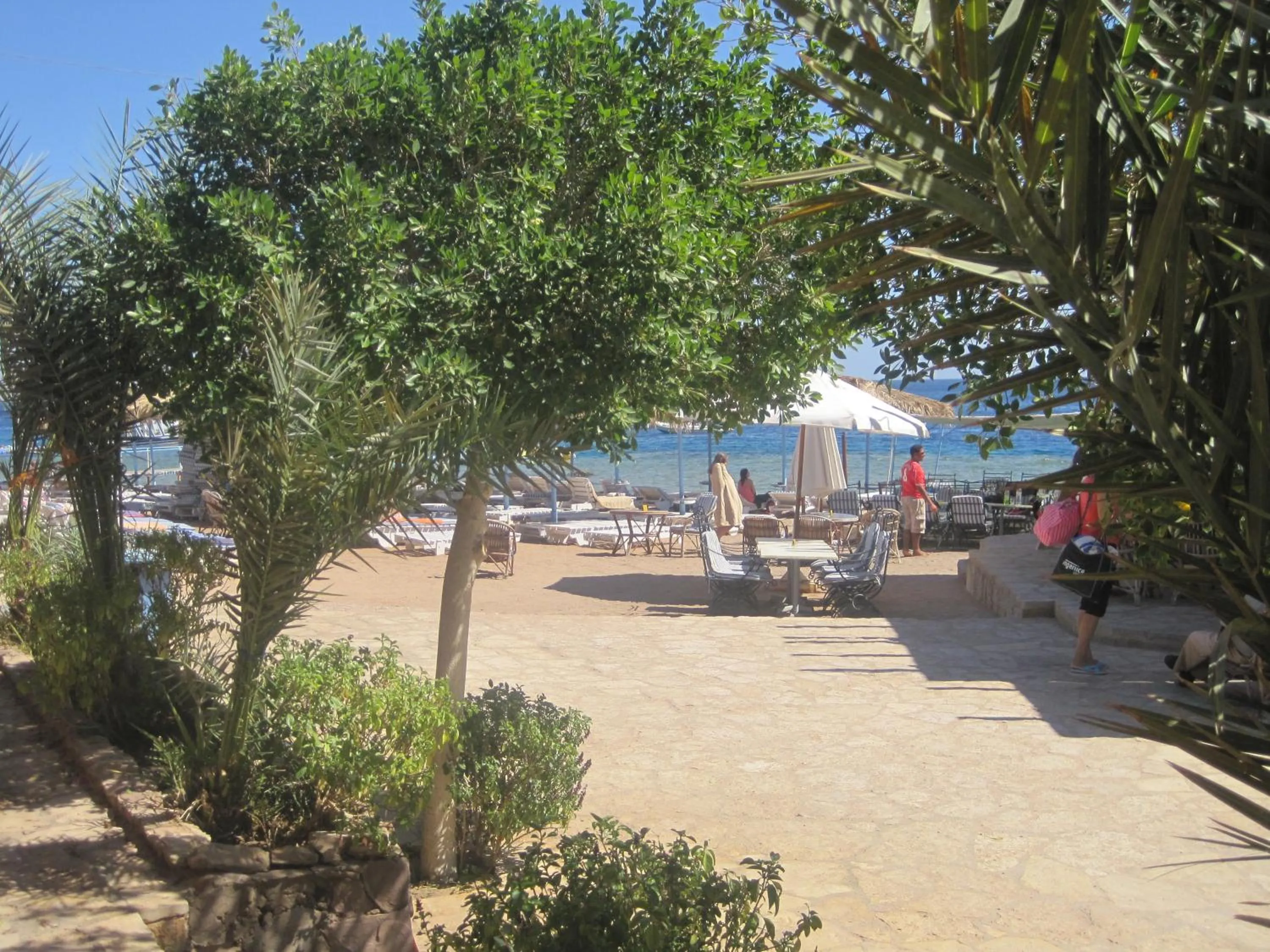 Snorkeling in Umbi Sharks Bay Diving Village