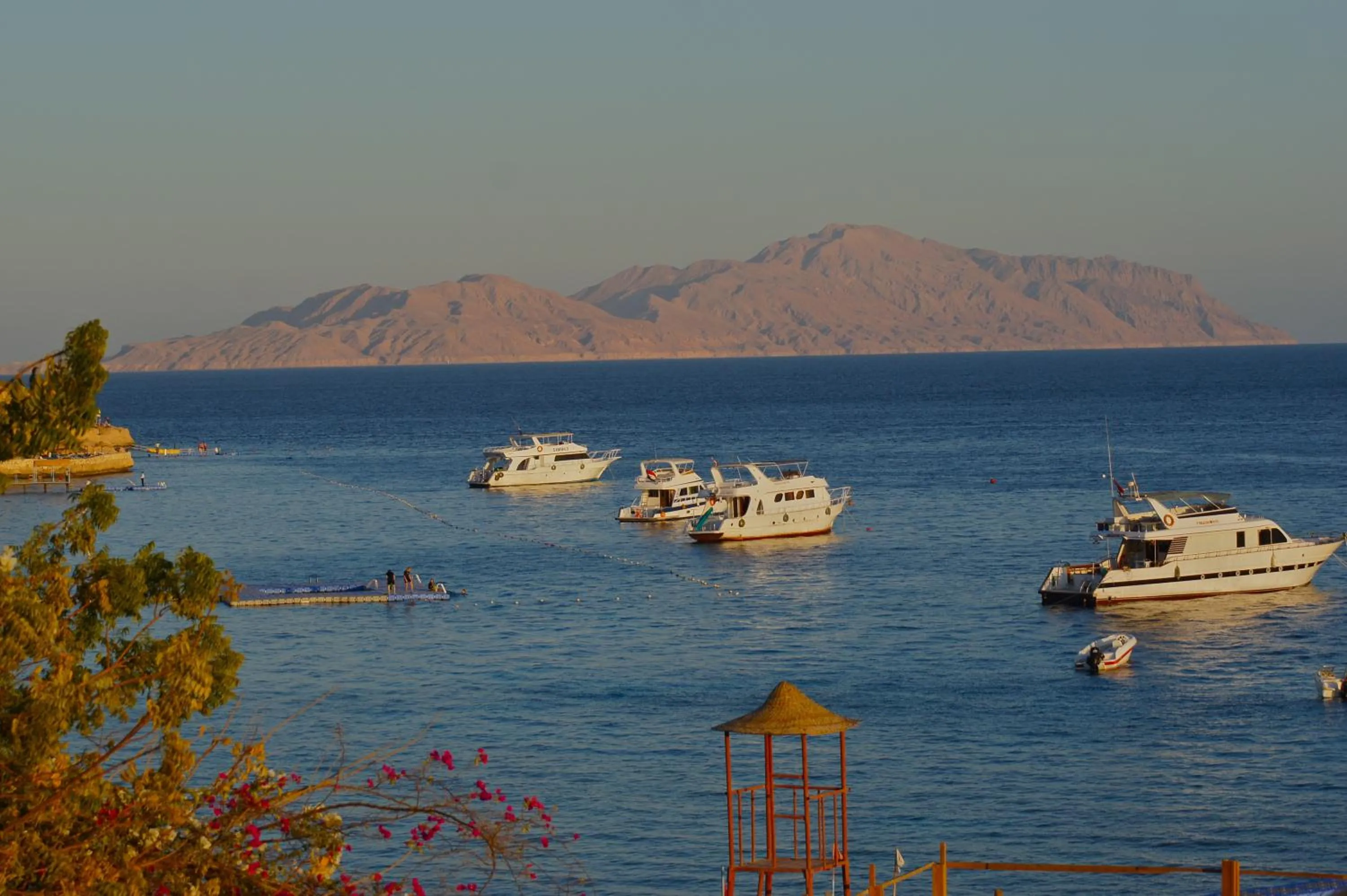 Bird's eye view in Umbi Sharks Bay Diving Village
