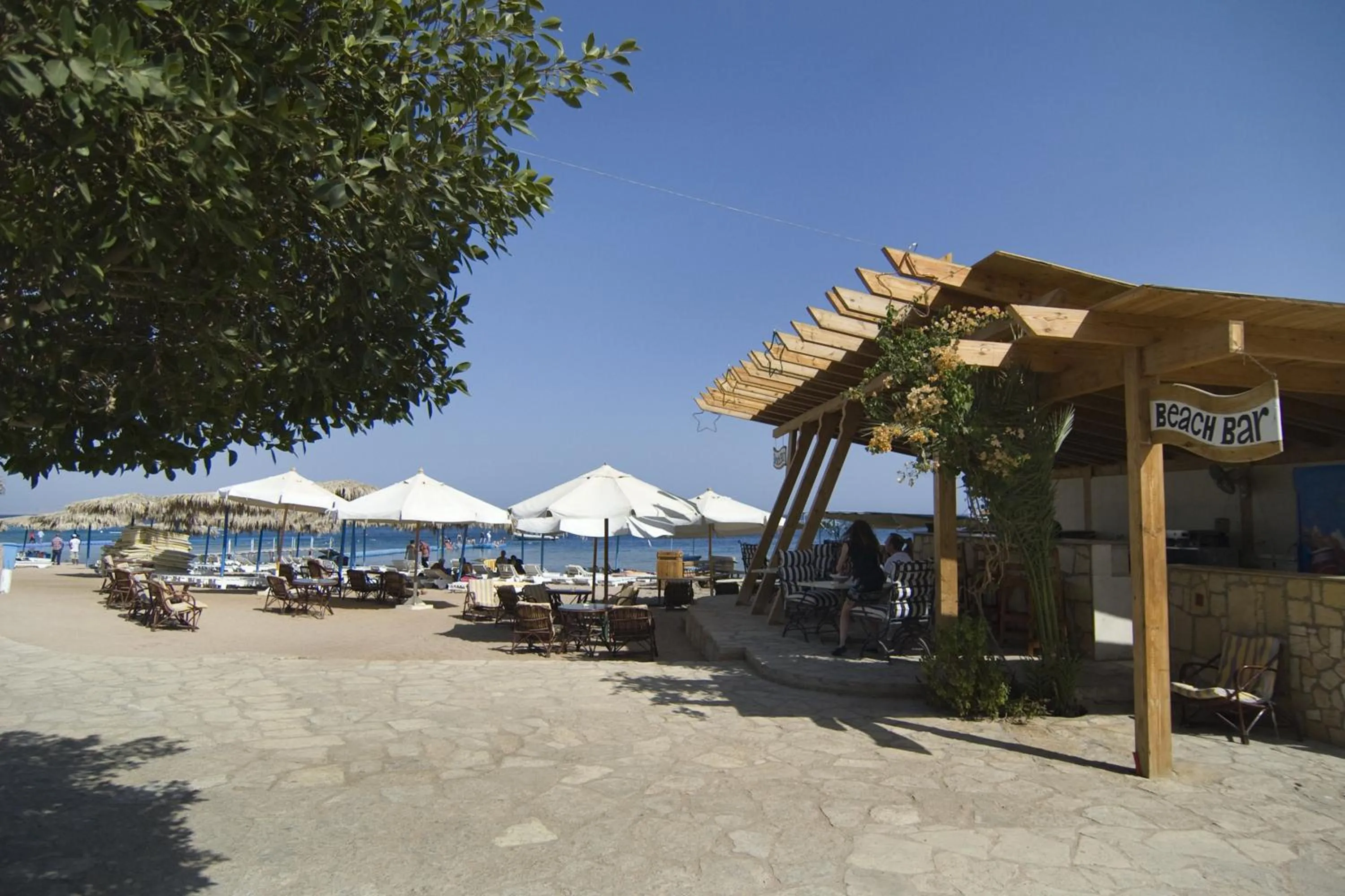 Beach in Umbi Sharks Bay Diving Village