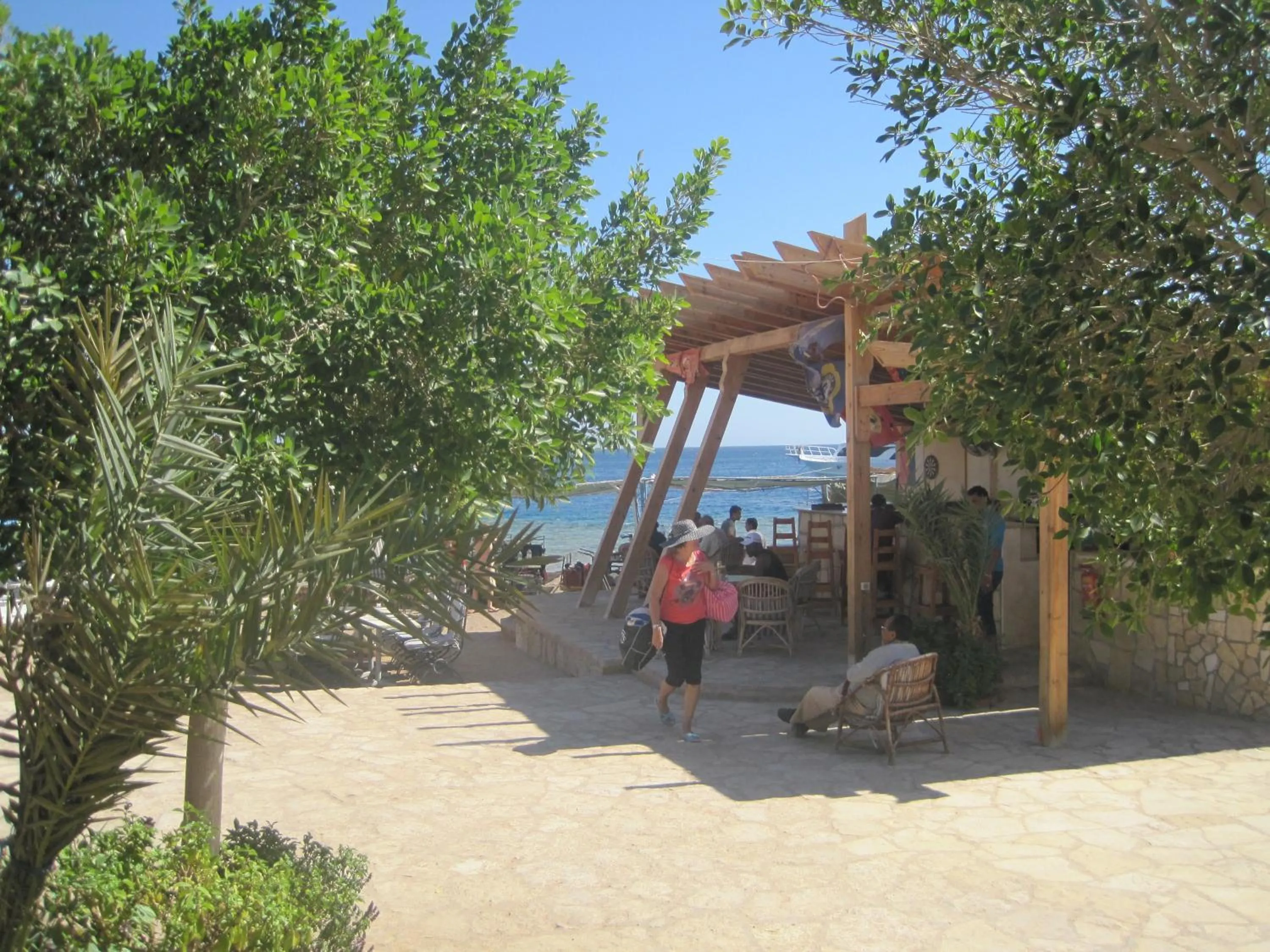 Beach in Umbi Sharks Bay Diving Village