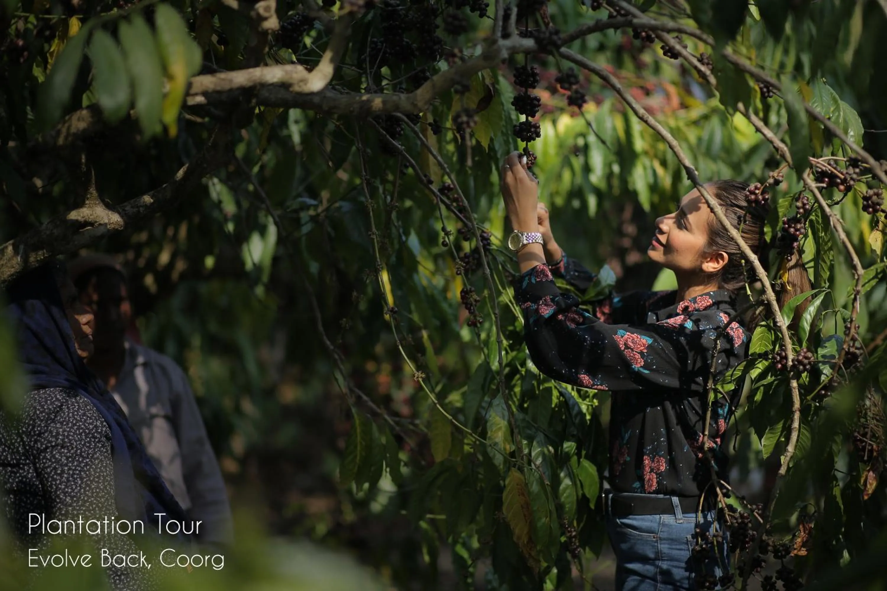 Activities in Evolve Back Coorg