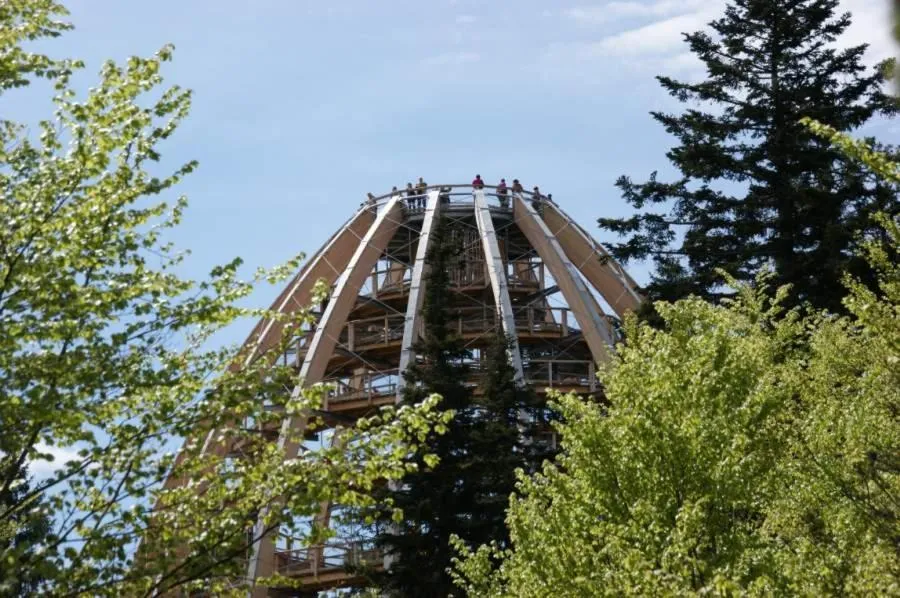 Activities in Landhotel Sportalm