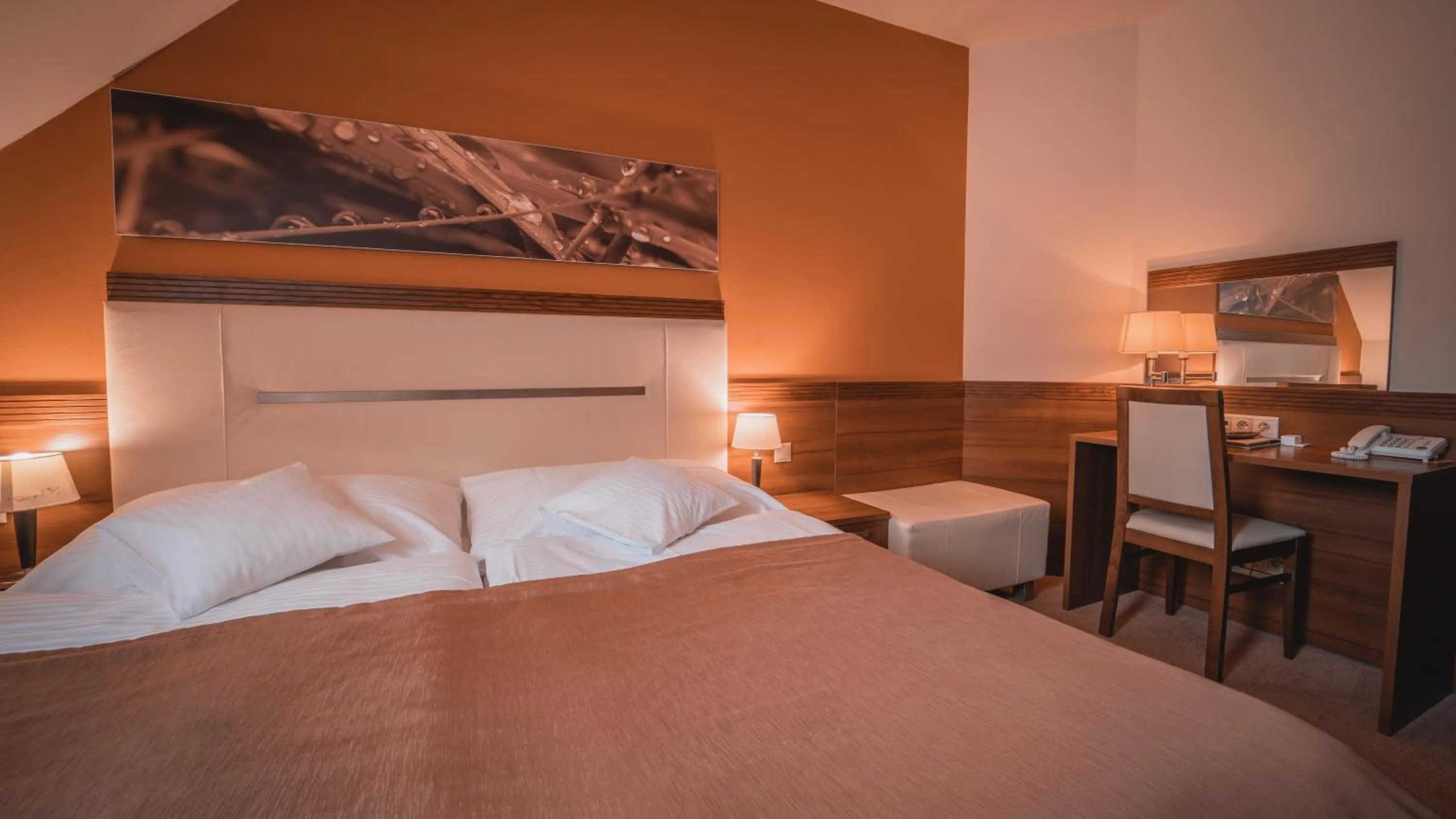 Bed in Dom zdravia - KÚPELE PIENINY