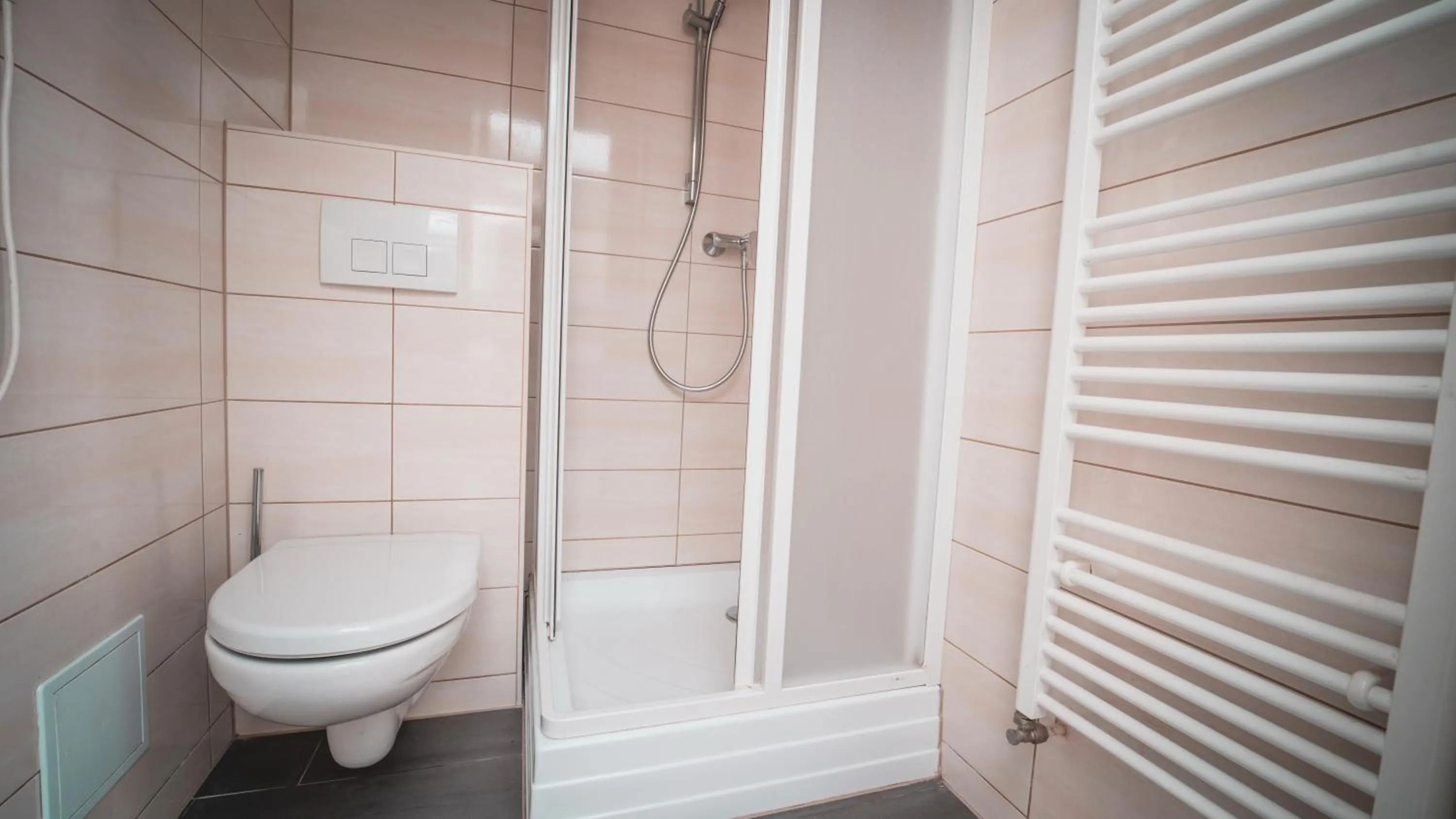 Shower in Kúpeľné domčeky - KÚPELE ČERVENÝ KLÁŠTOR Smerdžonka