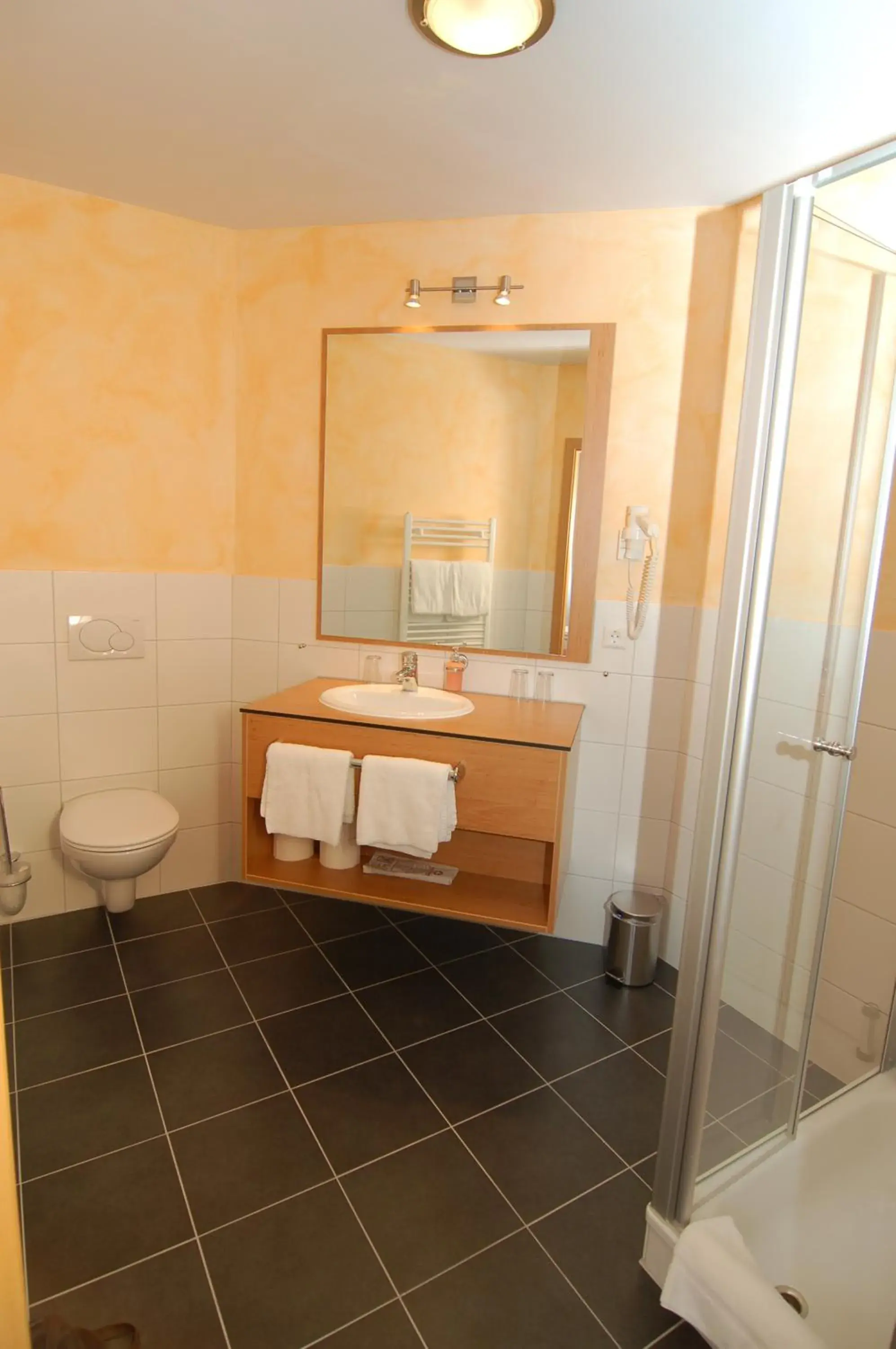 Double Room - single occupancy in Ringhotel Alfsee Piazza Double Room - single occupancy in Ringhotel Alfsee Piazza