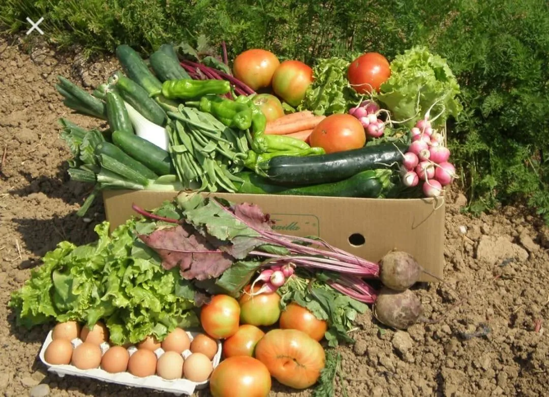 Apartamento en casa de campo cerca de la playa