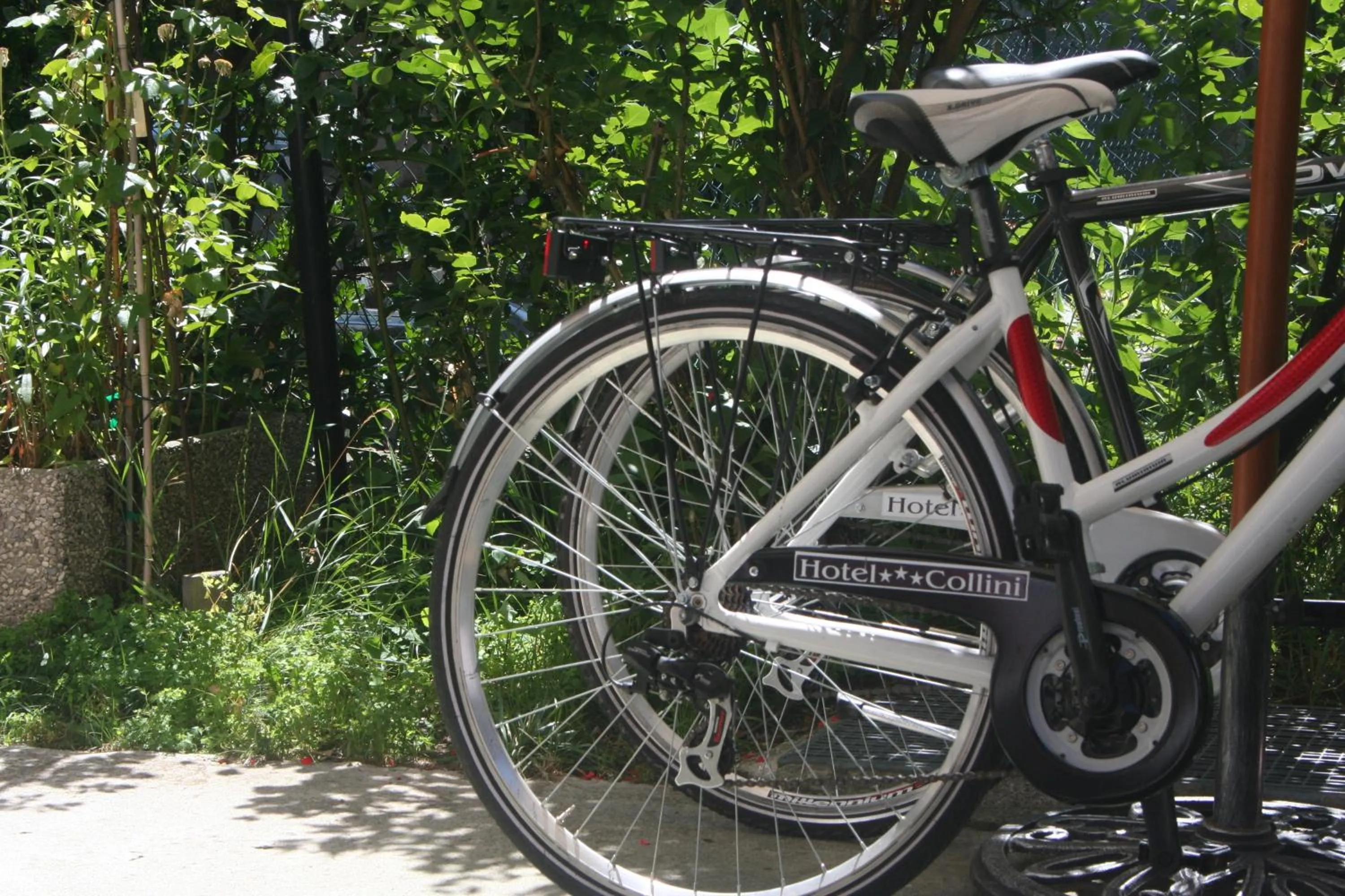 Cycling in Hotel Collini