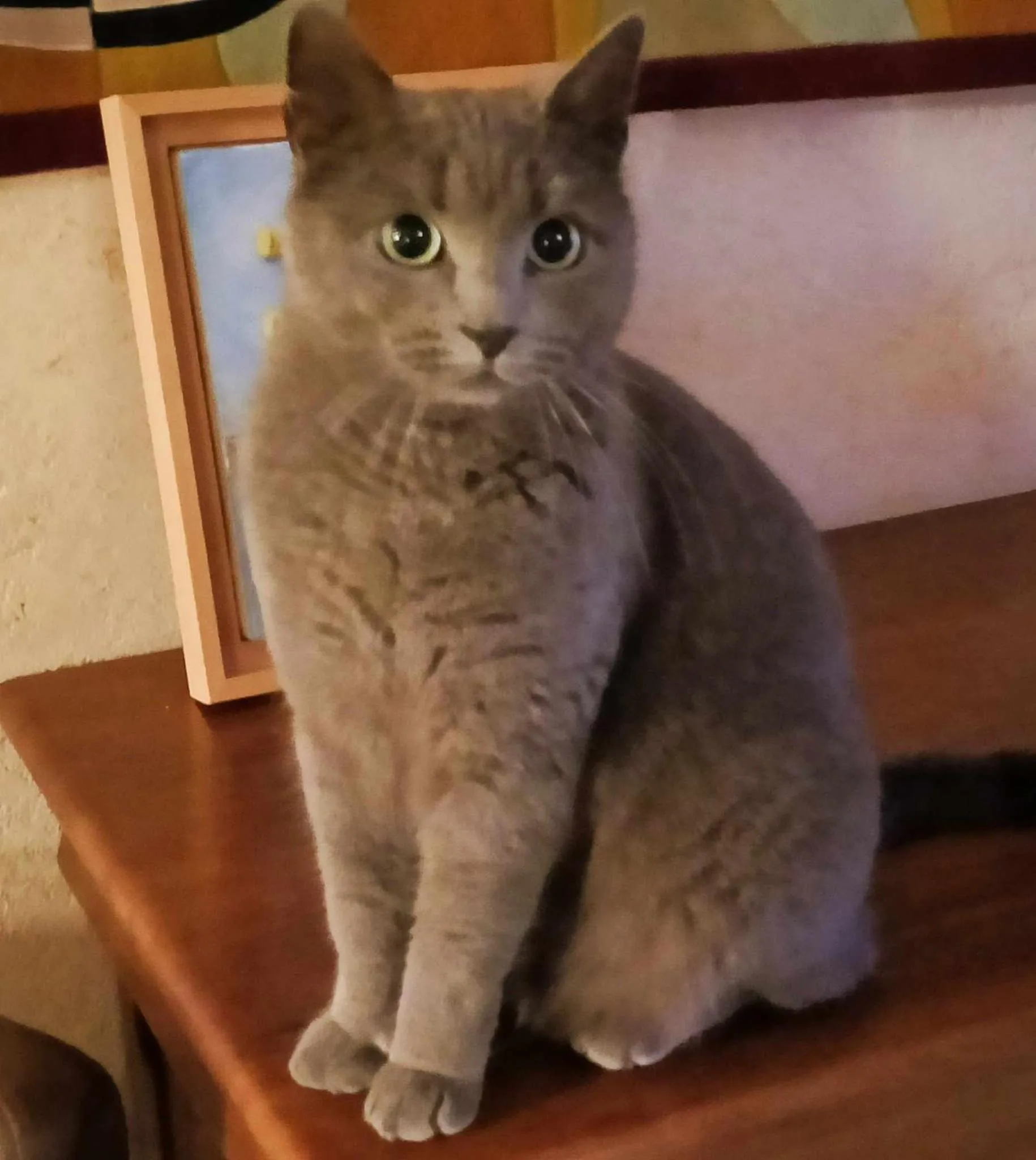 Les Chambres d'Hotes chez Alisa et Daniel