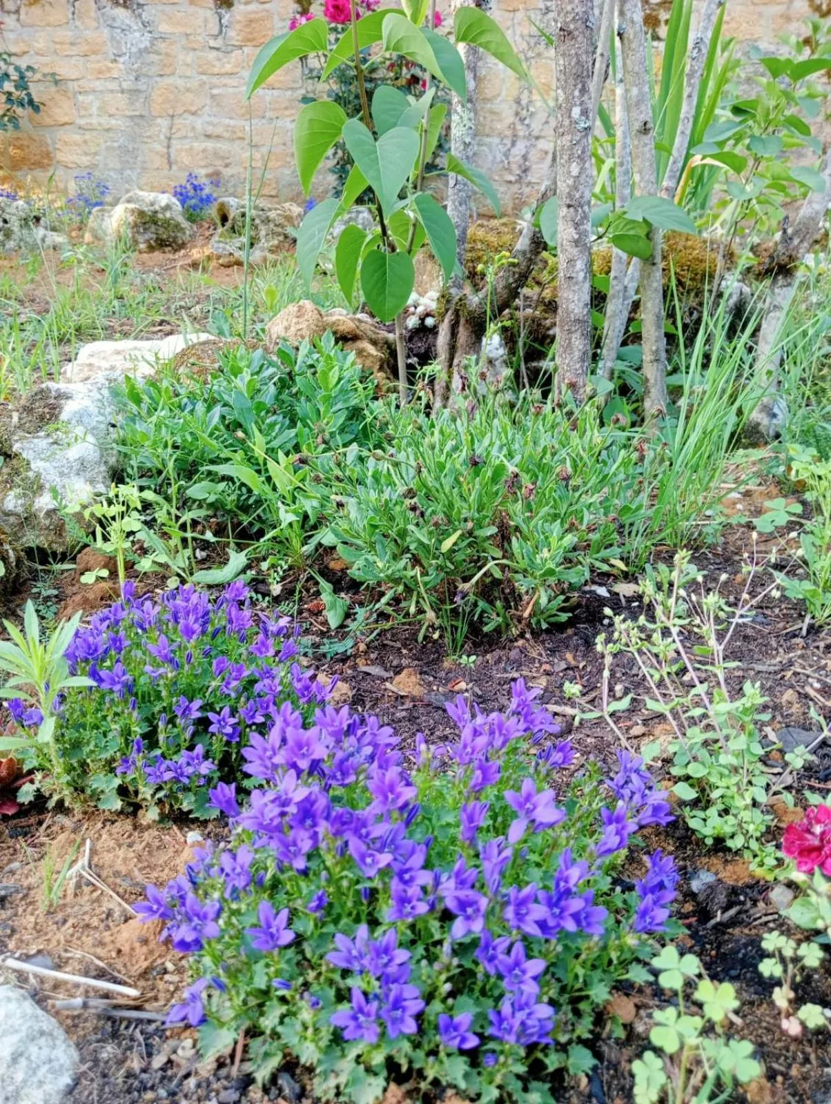 Les Chambres d'Hotes chez Alisa et Daniel