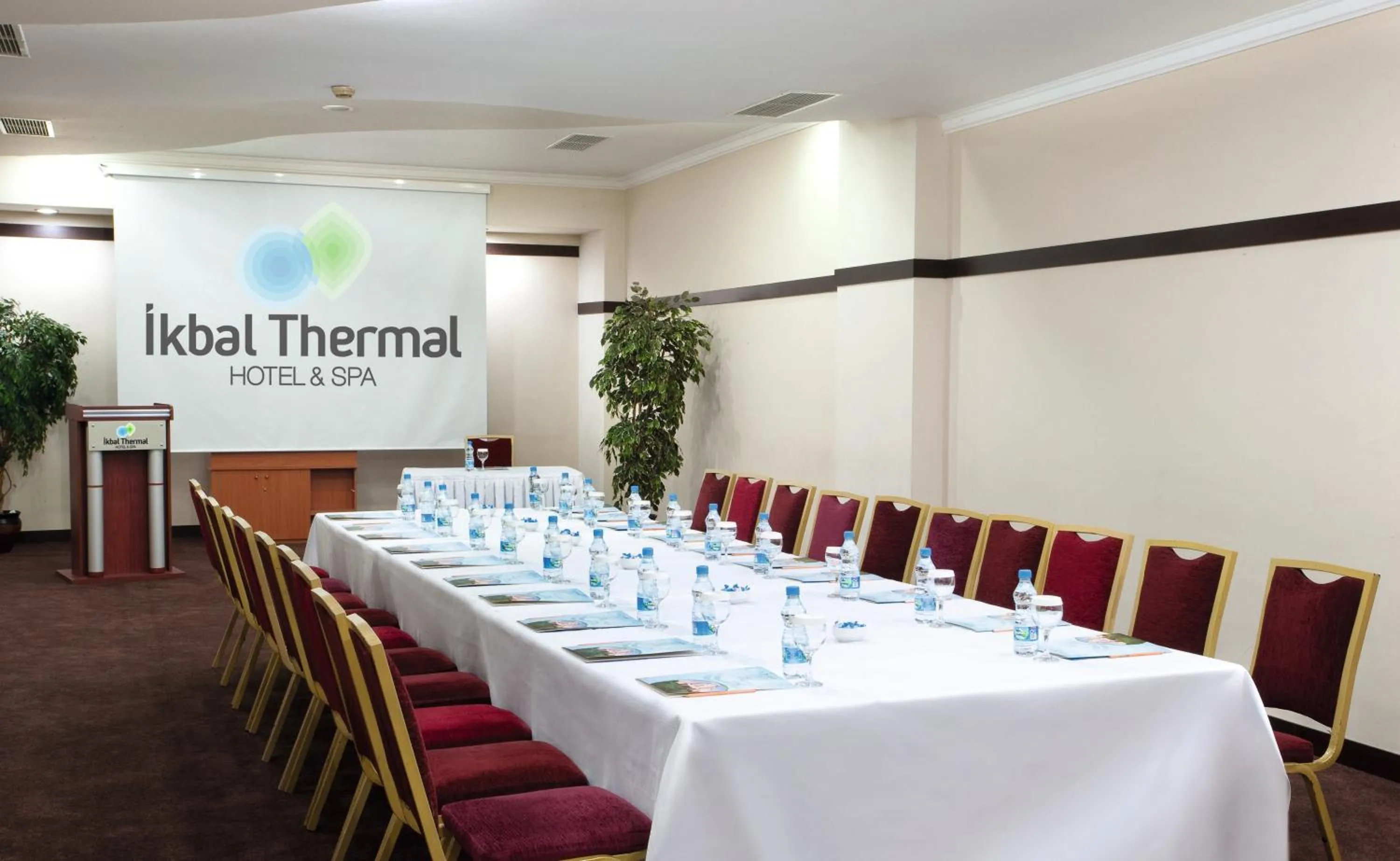Business facilities in Ikbal Thermal Hotel & Spa Afyon