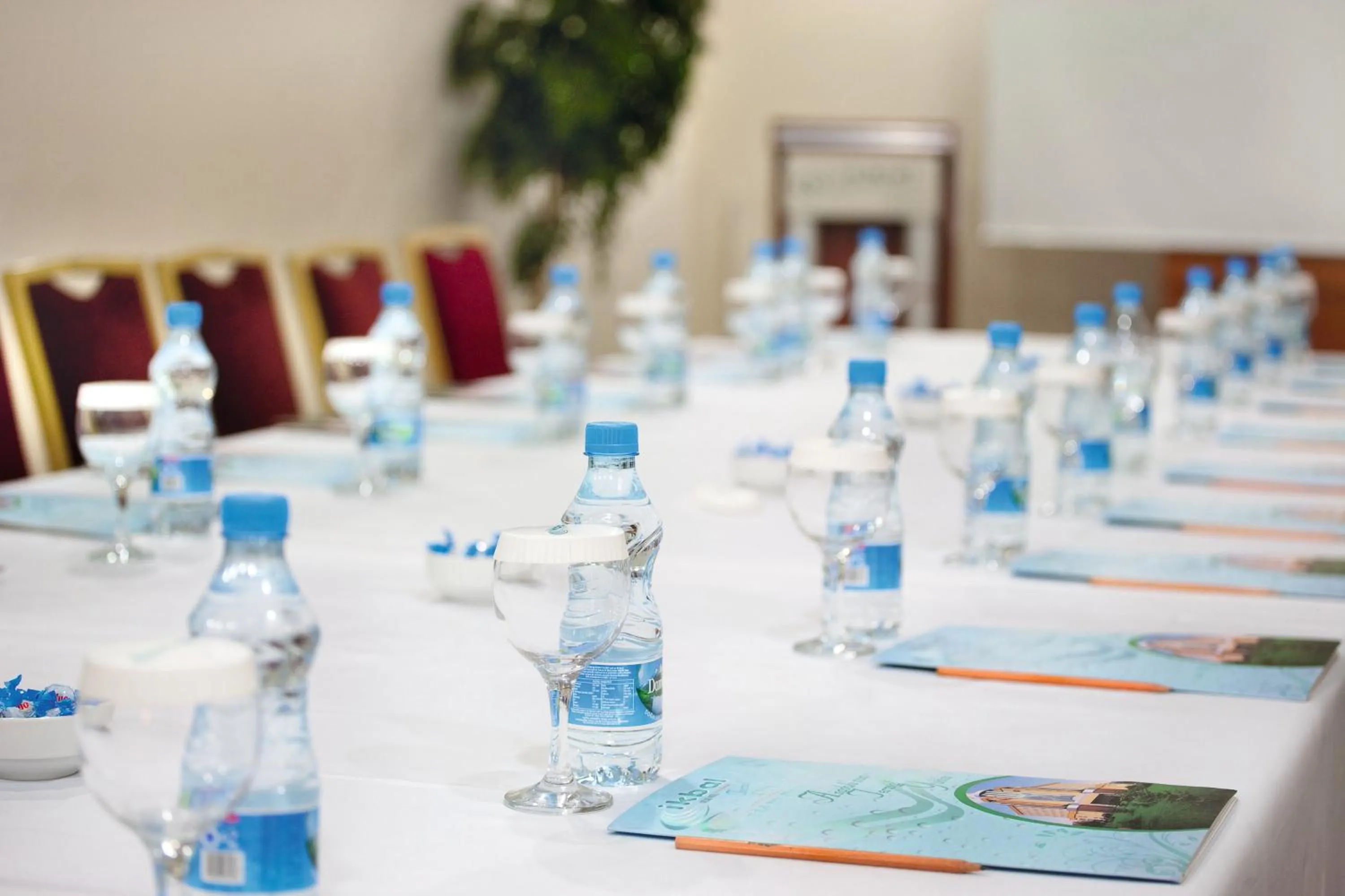 Business facilities in Ikbal Thermal Hotel & Spa Afyon