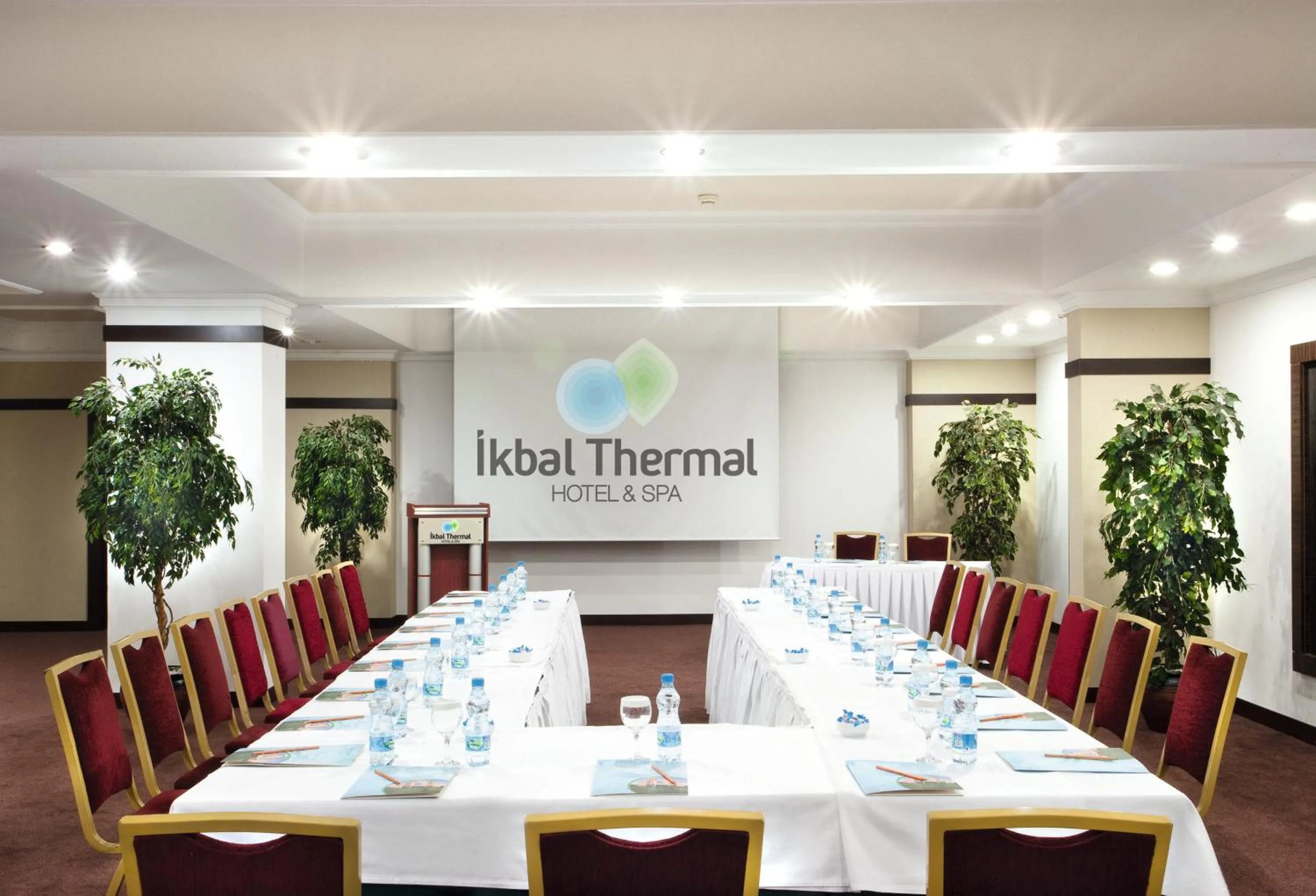 Business facilities in Ikbal Thermal Hotel & Spa Afyon