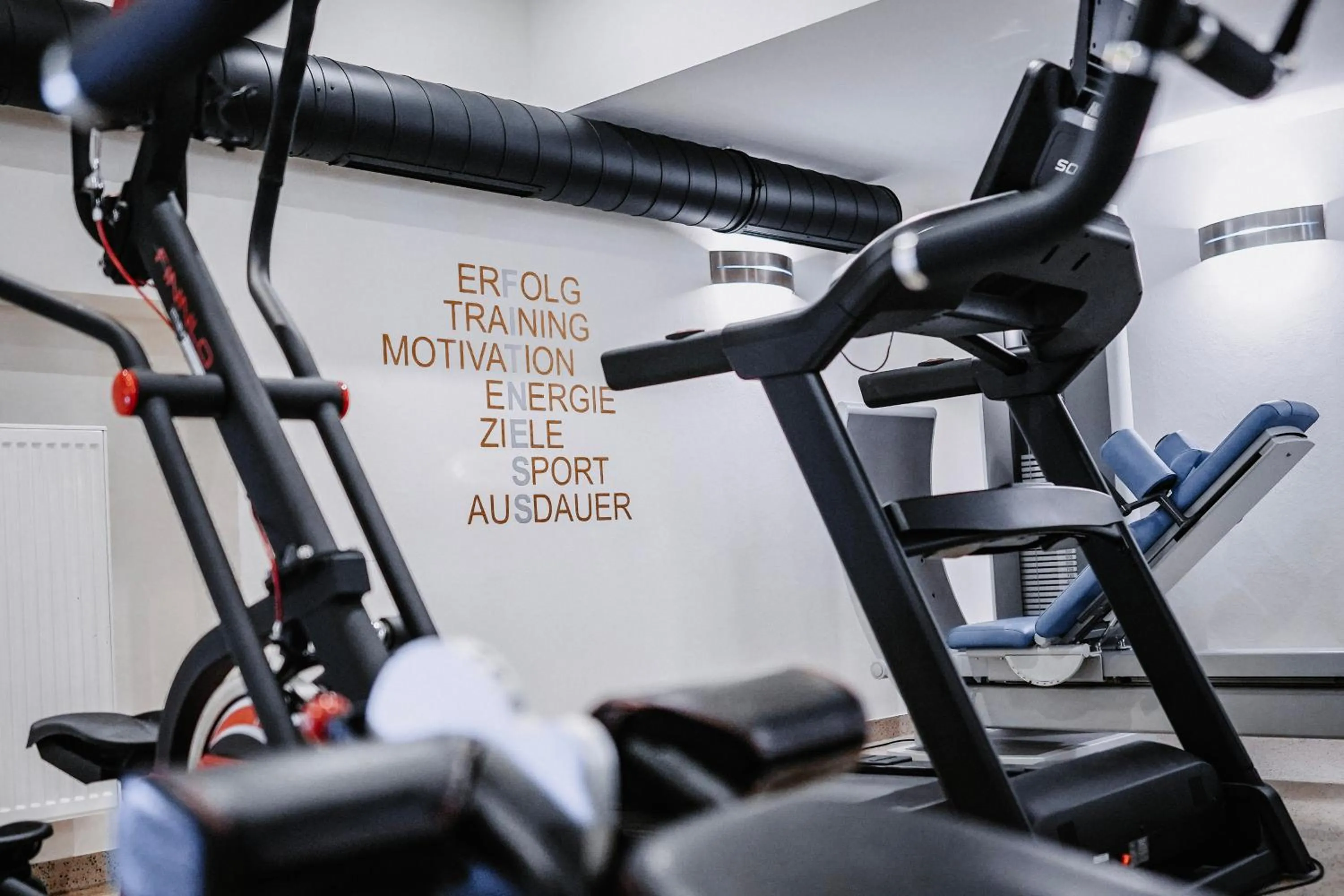 Fitness centre/facilities in Hotel & Restaurant Goldener Pflug