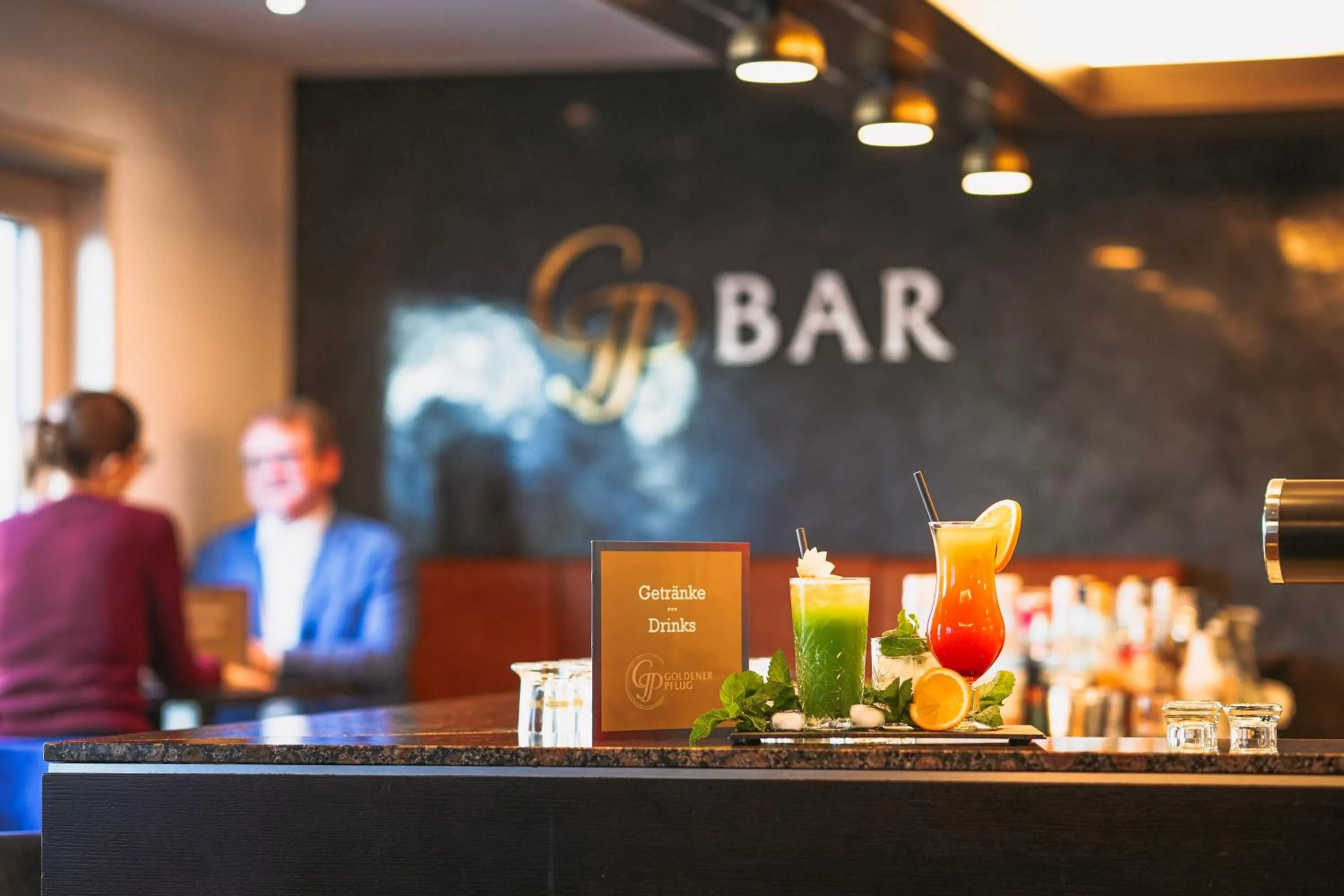 Lounge or bar in Hotel & Restaurant Goldener Pflug