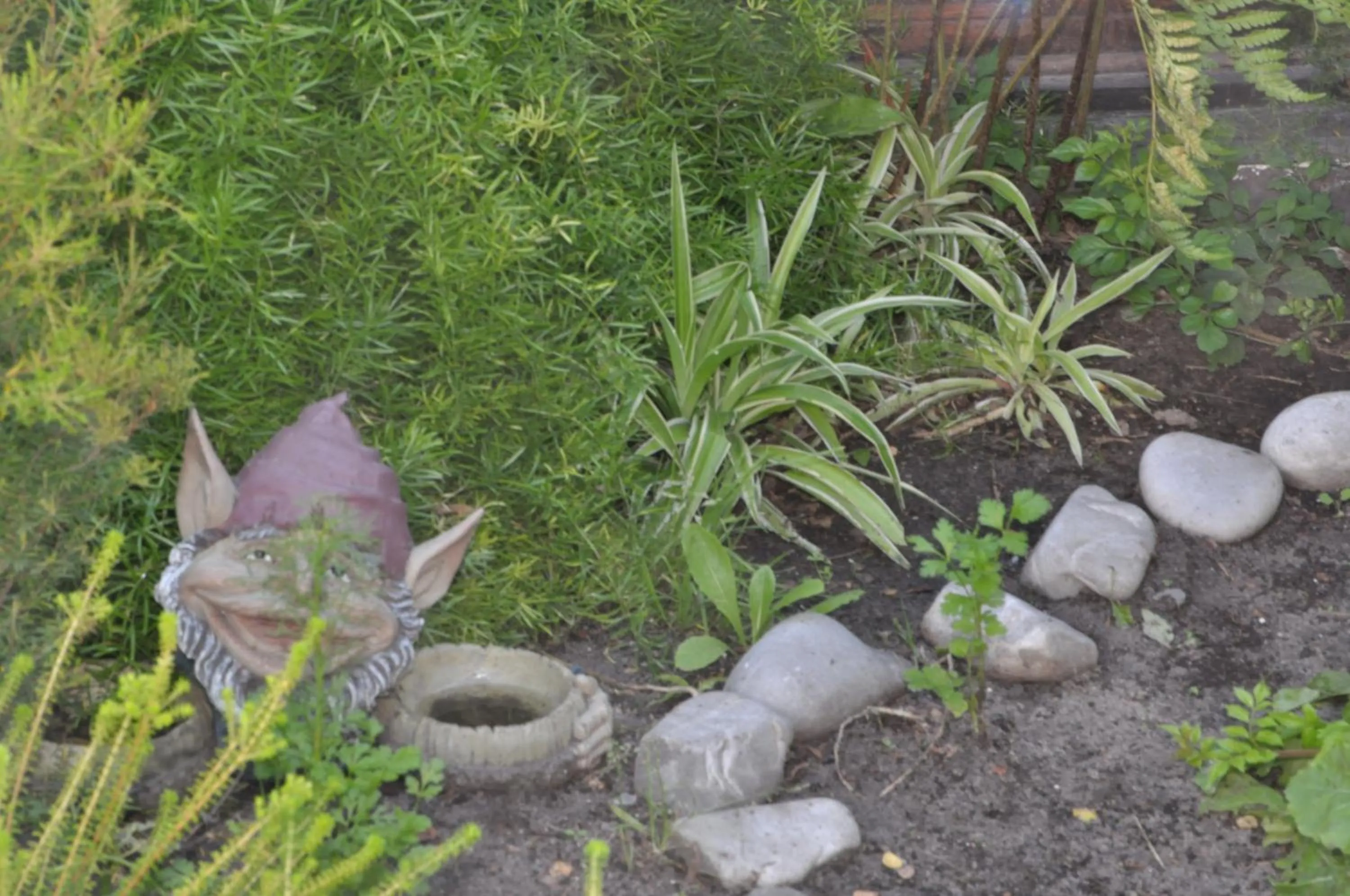 Garden in Saxon Lodge
