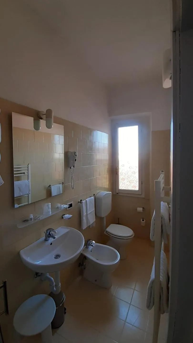 Toilet in Albergo Moderno