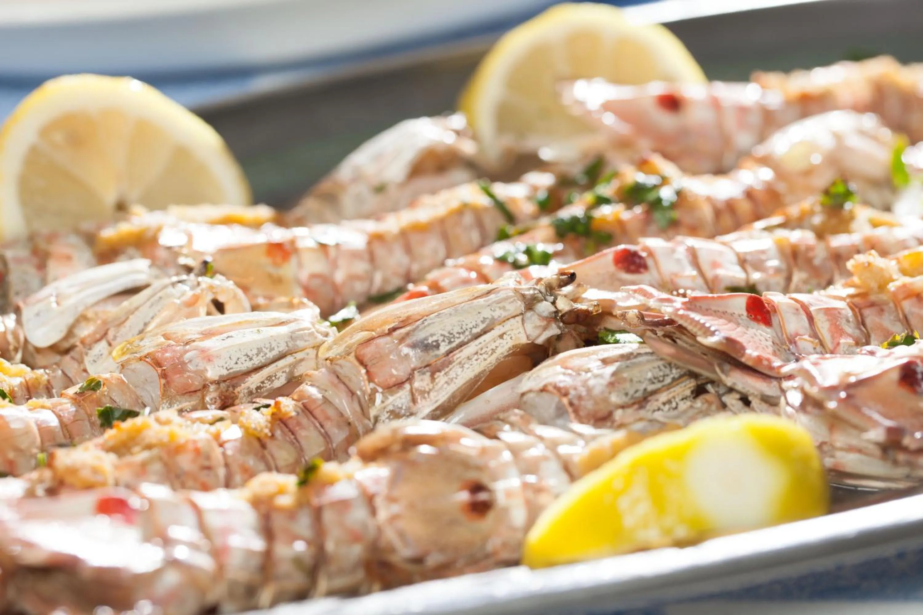 Food in Hotel Ambasciatori