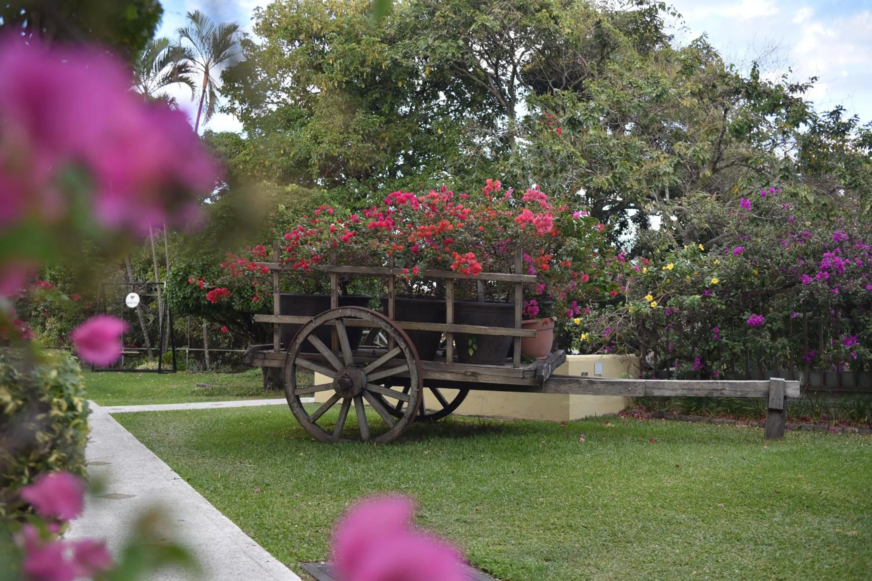 Garden in Hotel Mirador Plaza