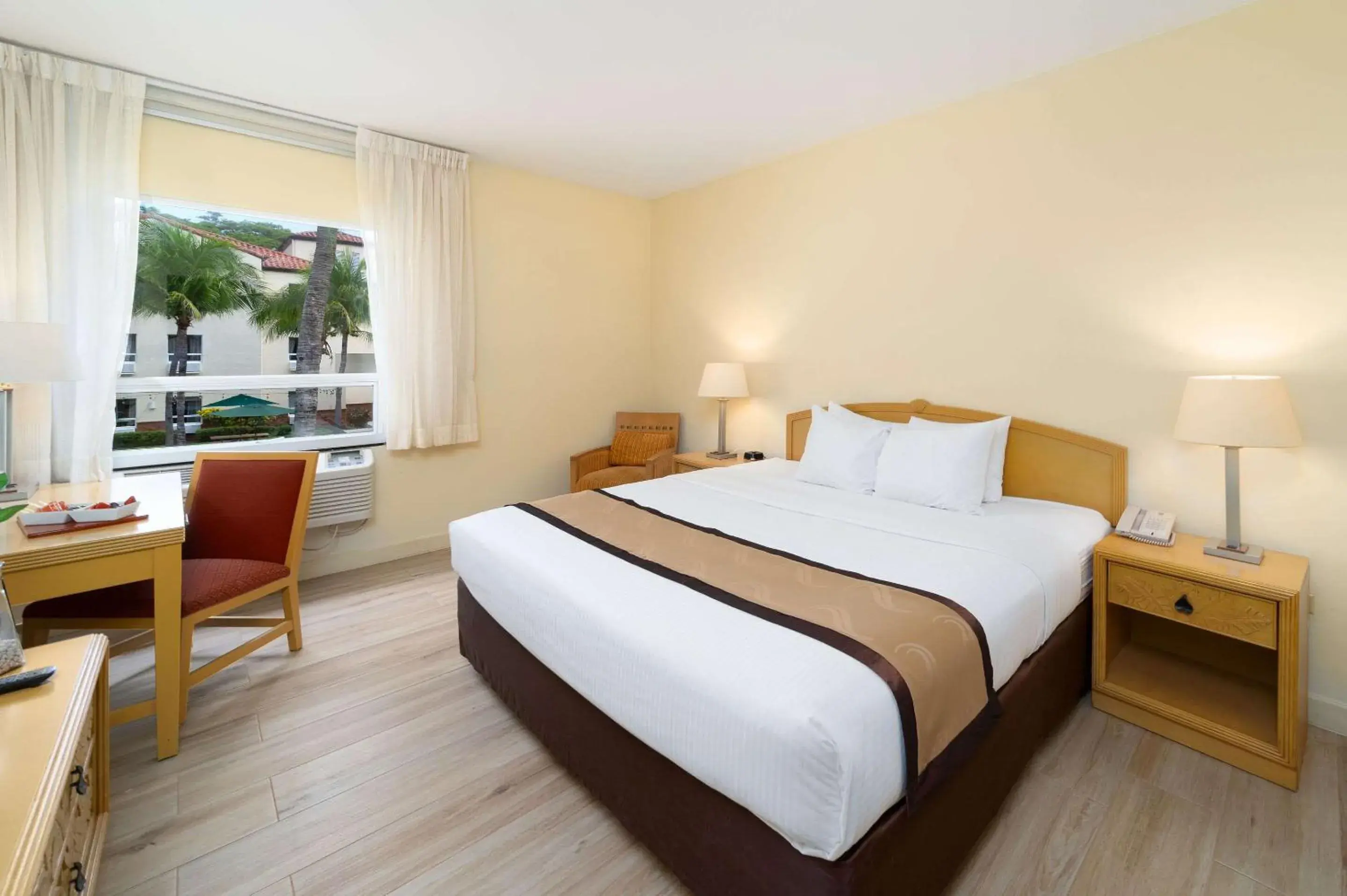 King Room - single occupancy - Accessible/Non-Smoking in Quality Hotel Real Aeropuerto San Salvador King Room - single occupancy - Accessible/Non-Smoking in Quality Hotel Real Aeropuerto San Salvador