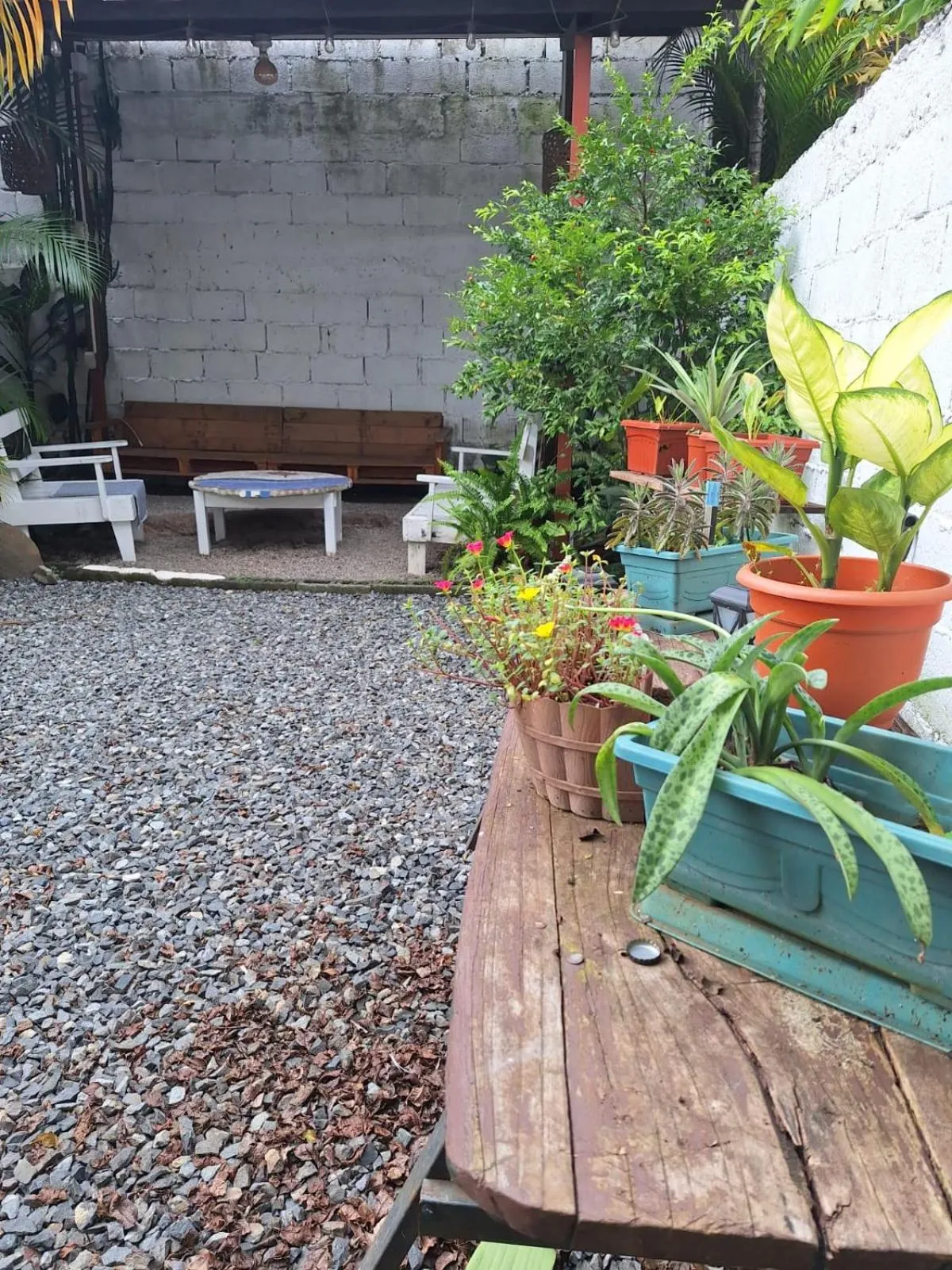 Property building in Hotel Cortez Azul