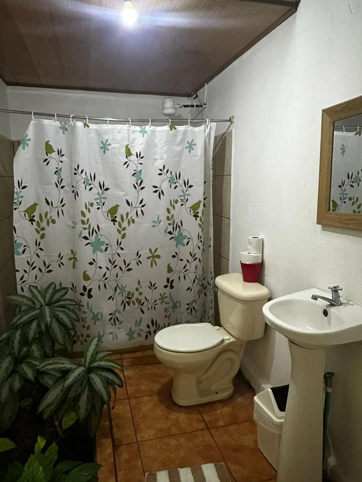 Toilet in Hotel Cortez Azul