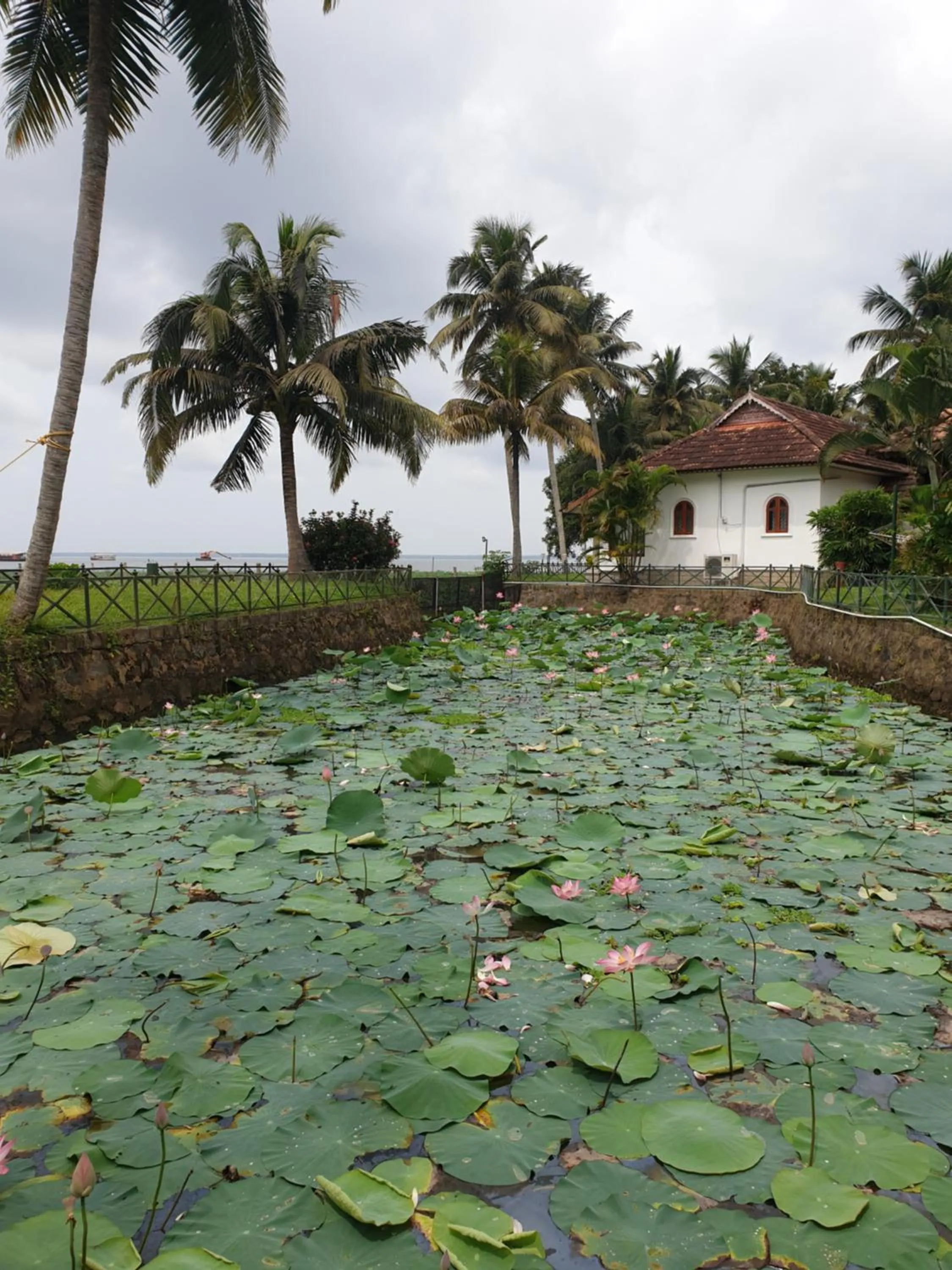 Garden in Backwater Ripples Kumarakom