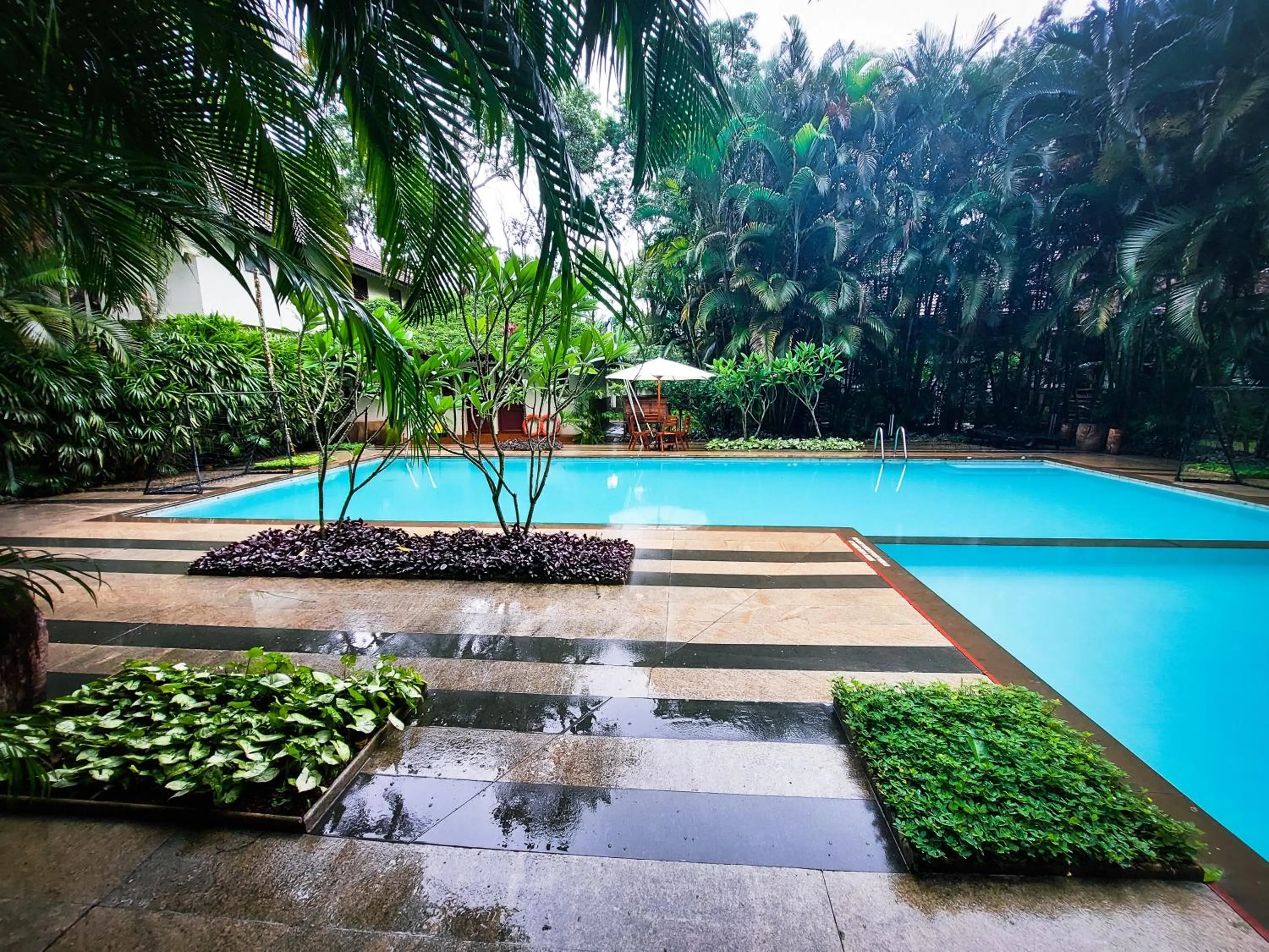 Swimming pool in Greenwoods Resort, Thekkady
