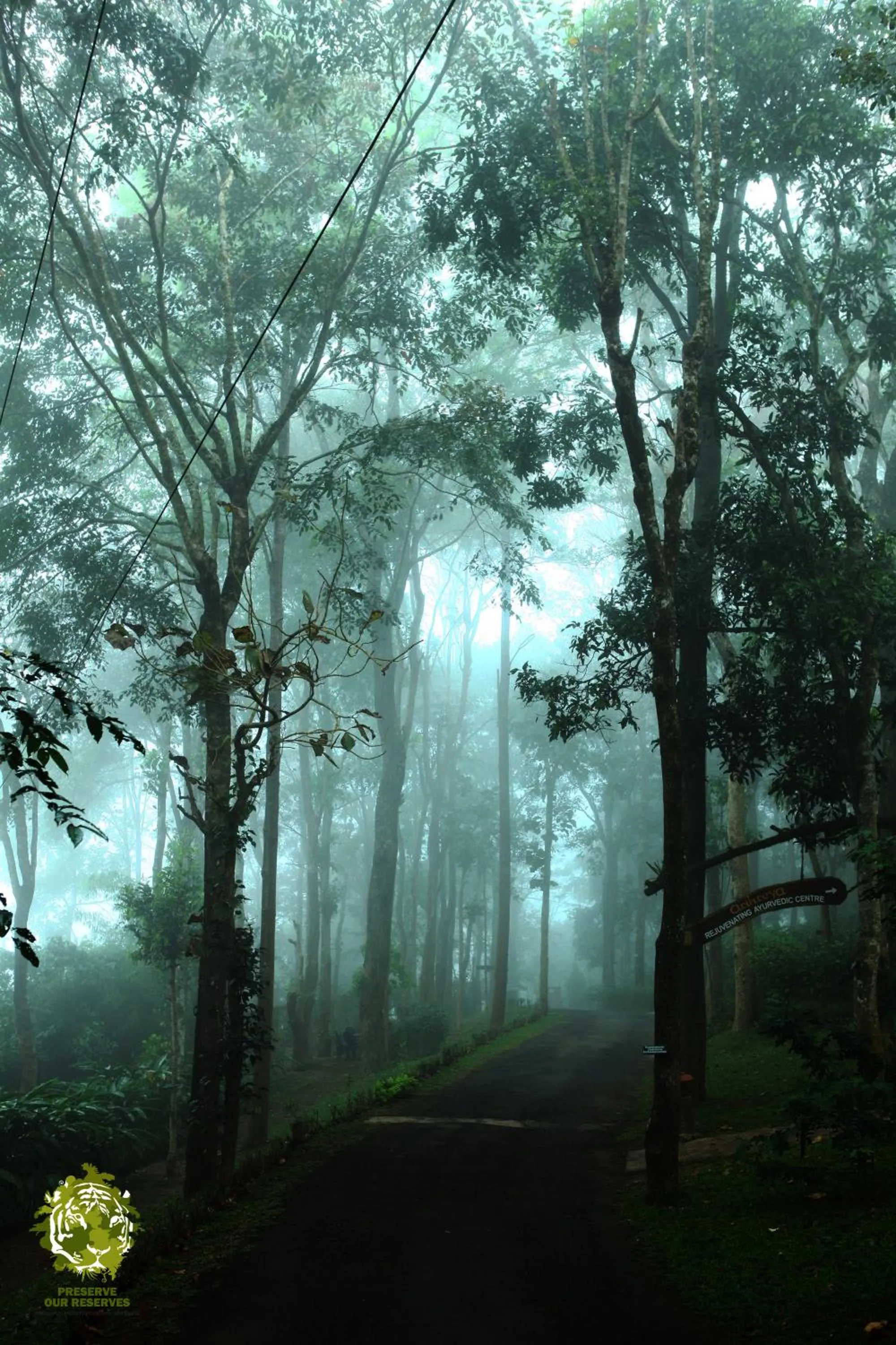 Area and facilities in Greenwoods Resort, Thekkady