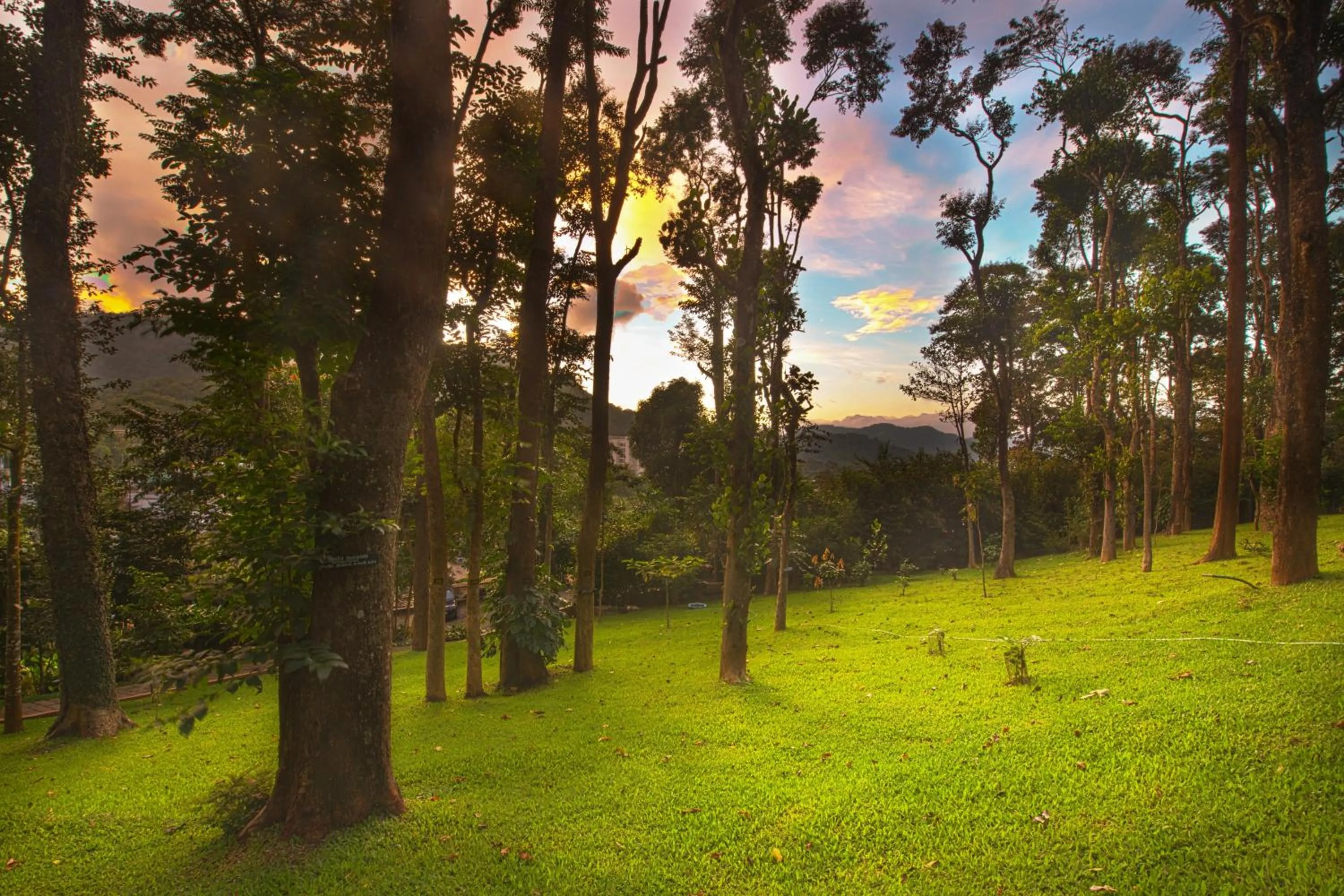 View (from property/room) in Greenwoods Resort, Thekkady