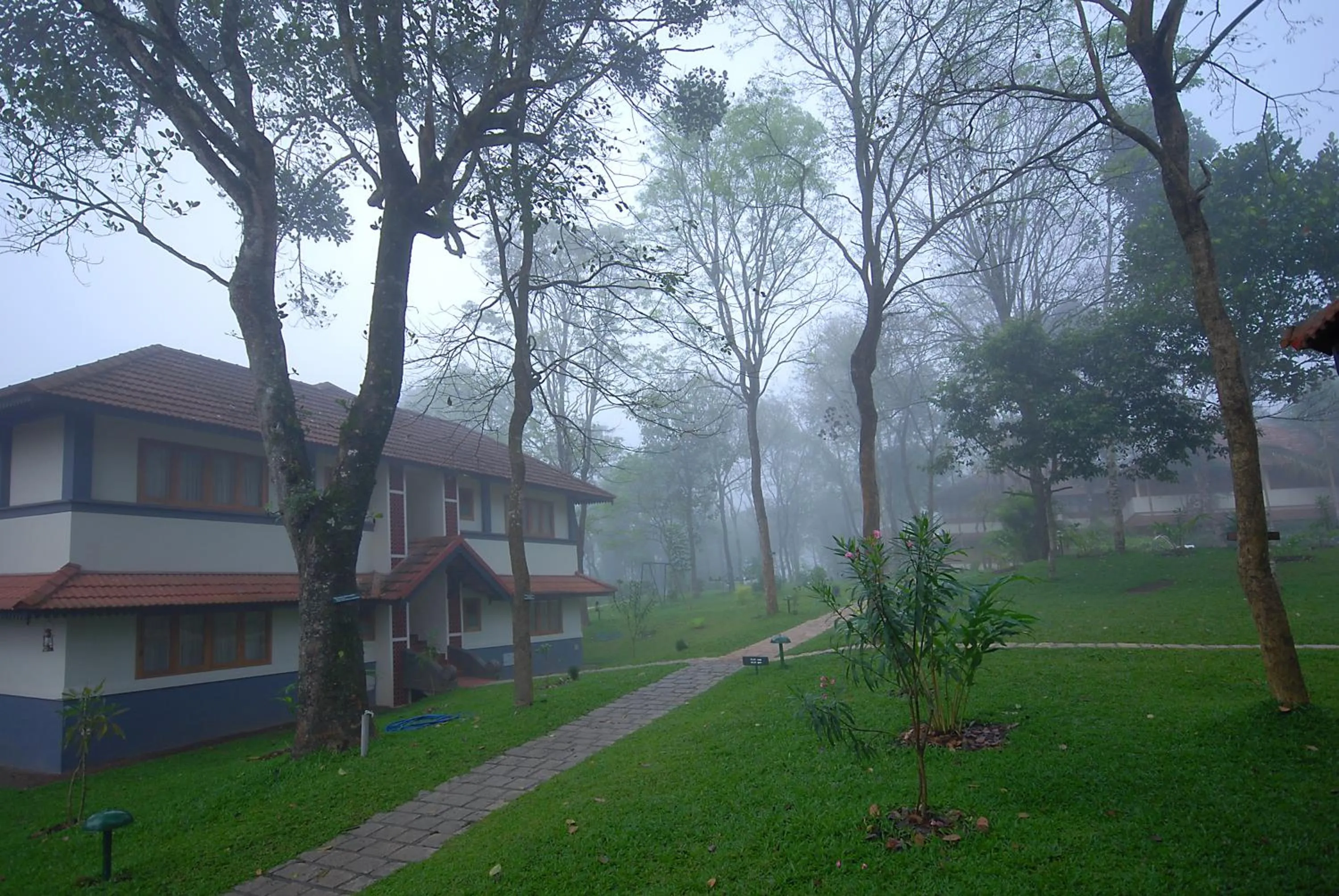 Area and facilities in Greenwoods Resort, Thekkady