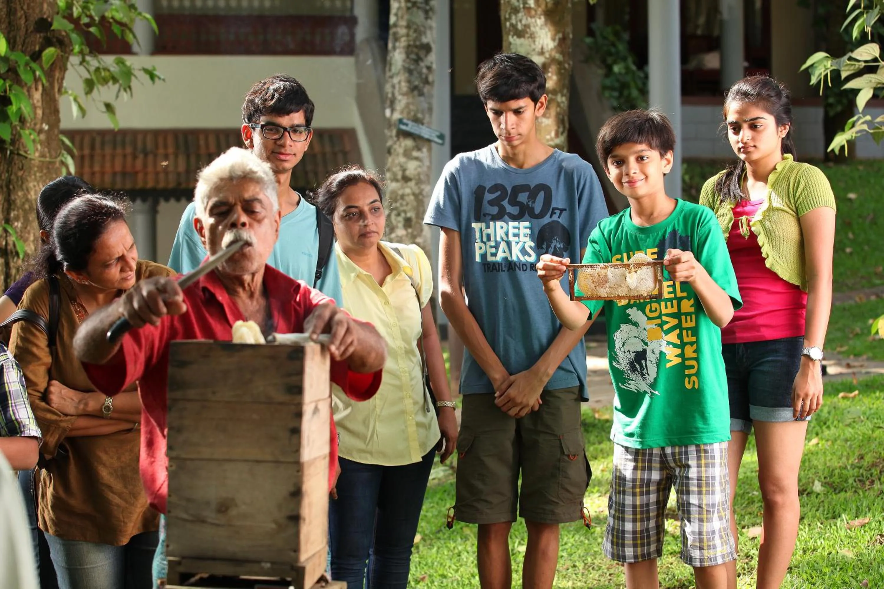 Other in Greenwoods Resort, Thekkady