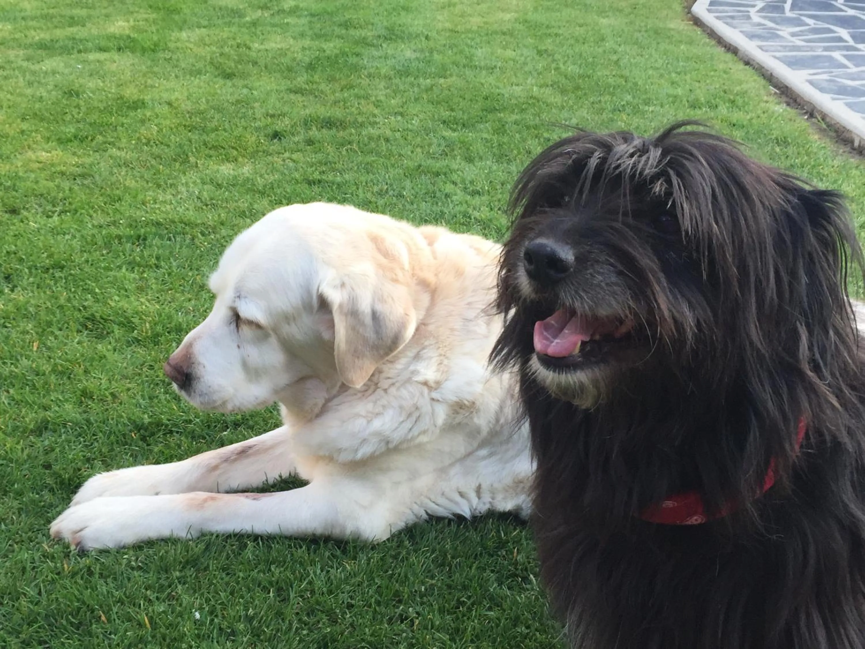 Les Chambres de Paule