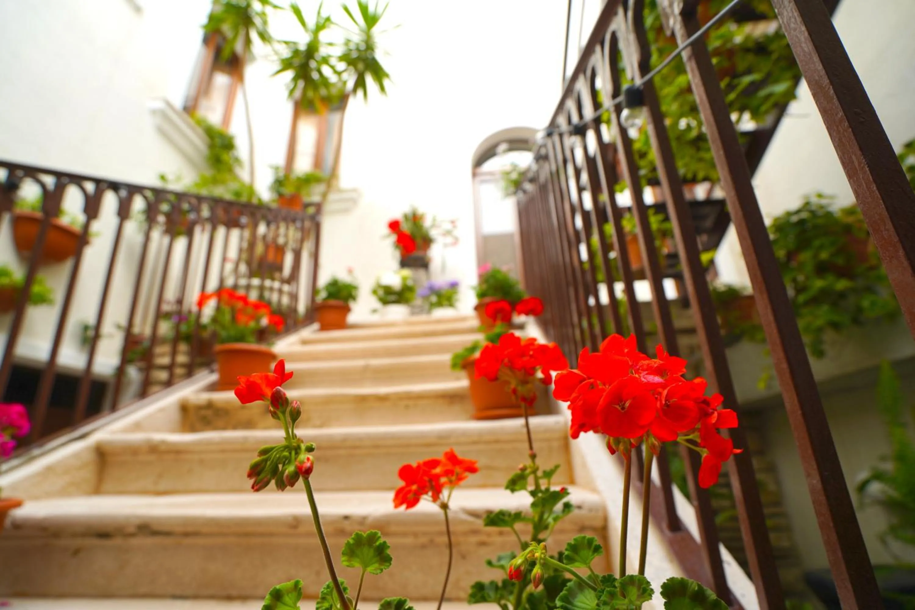 Property building in Malandrì B&B