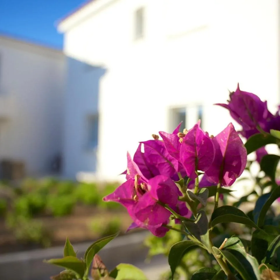 Natural landscape in Résidence Le Clos Saint Paul