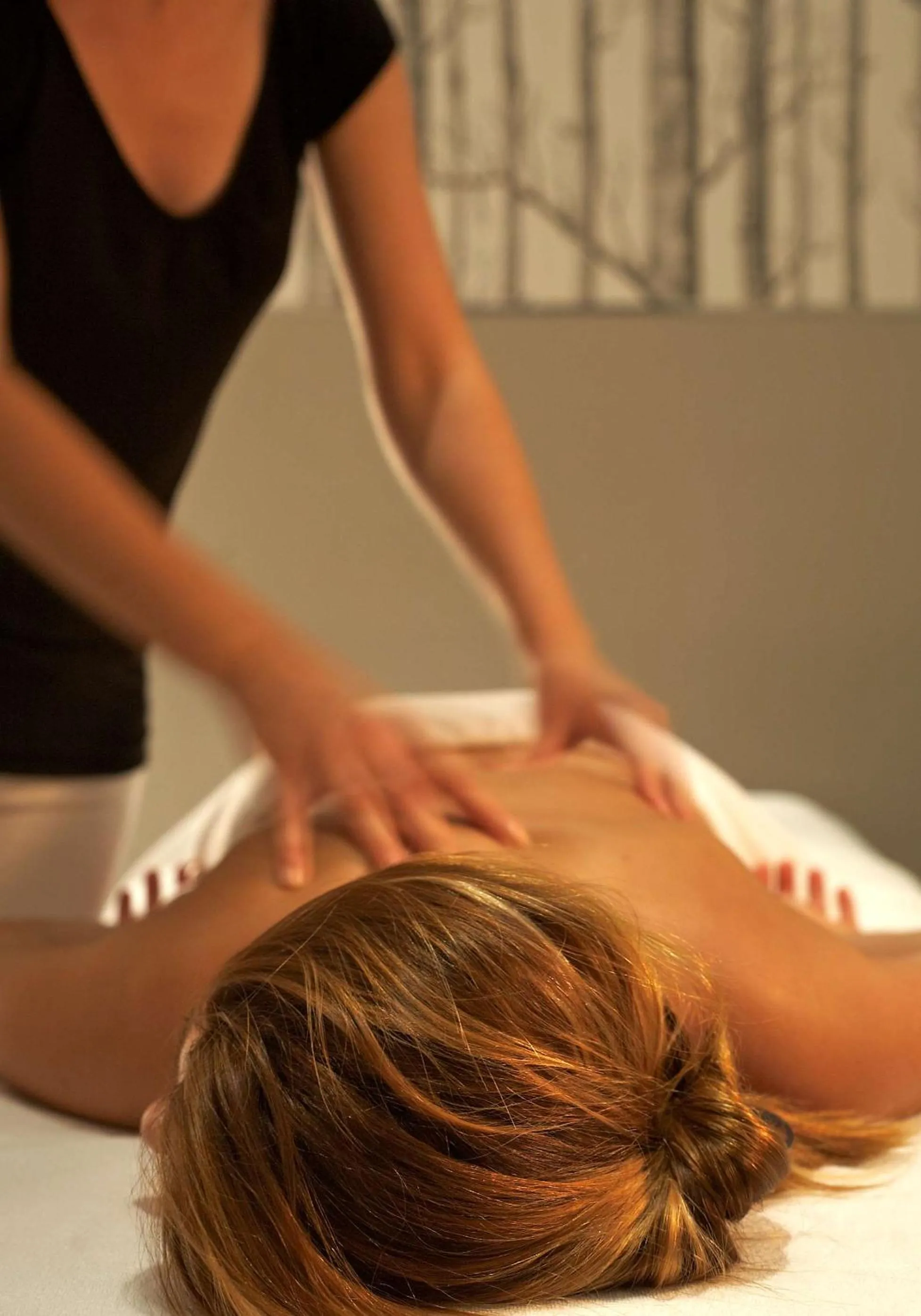 Spa and wellness centre/facilities in Park Plaza Histria Pula