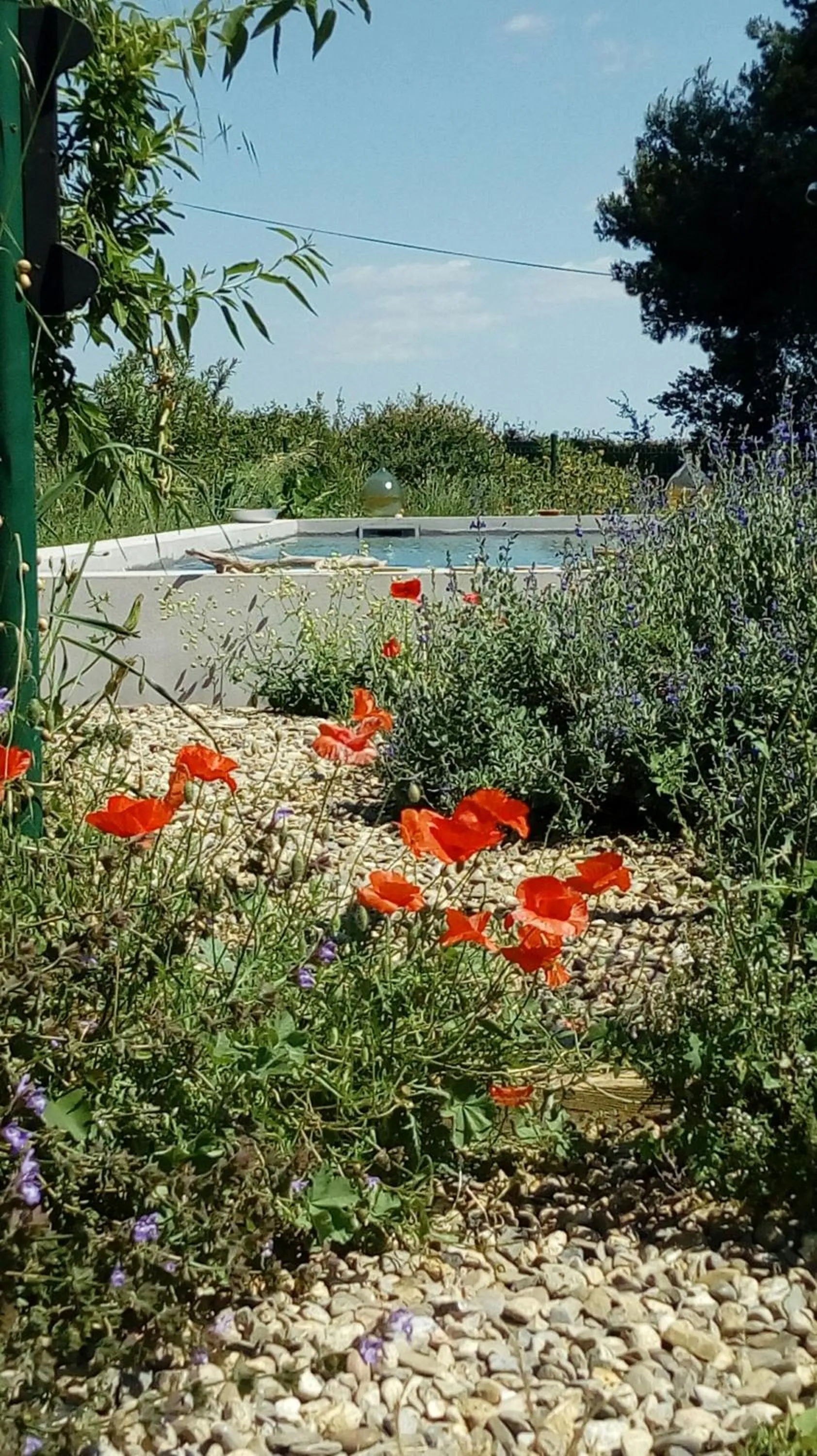Swimming pool in Domaine de Manteau-Bleu