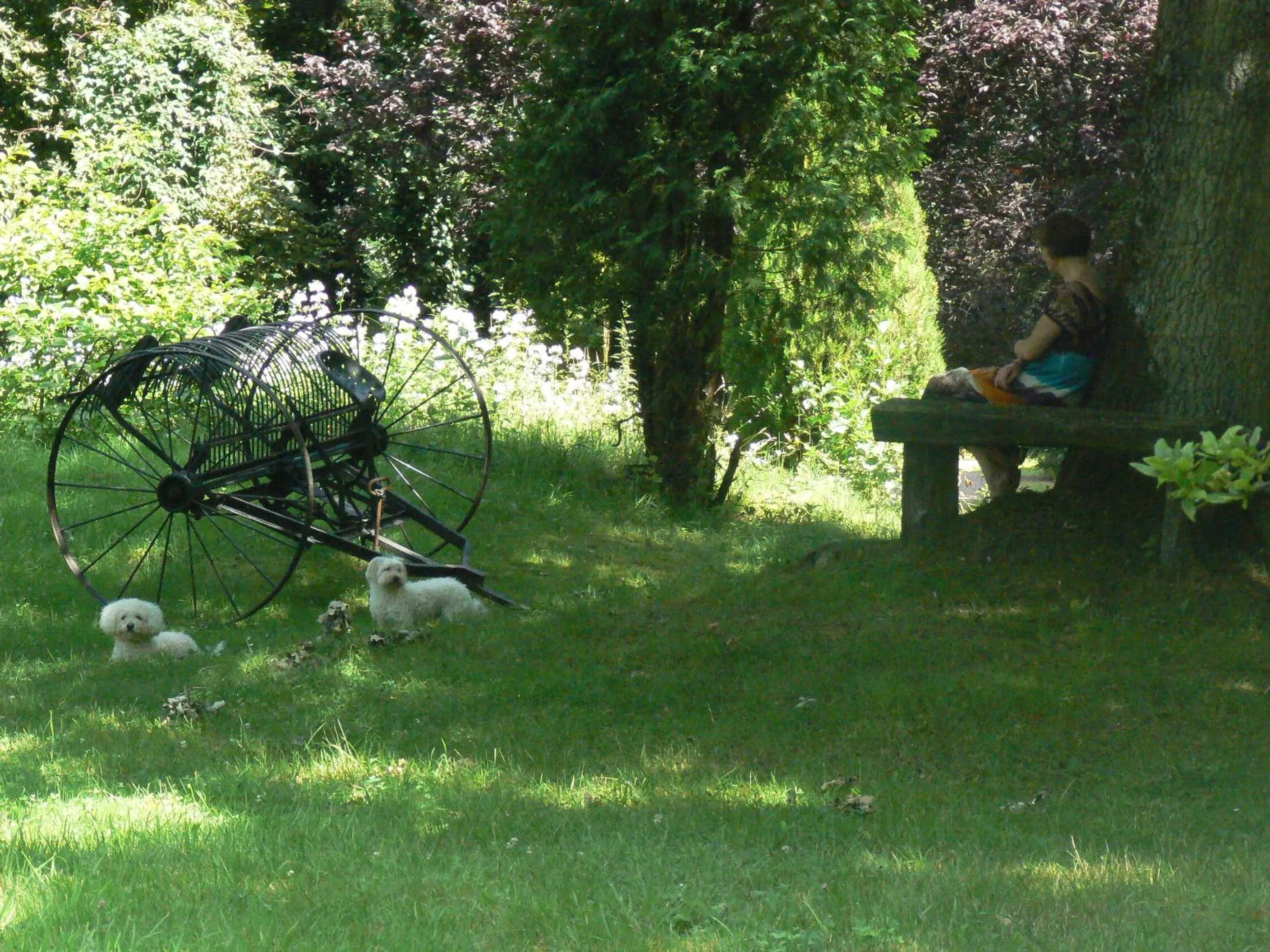Day in Chambre d'hôtes du Moulin de Landonvillers