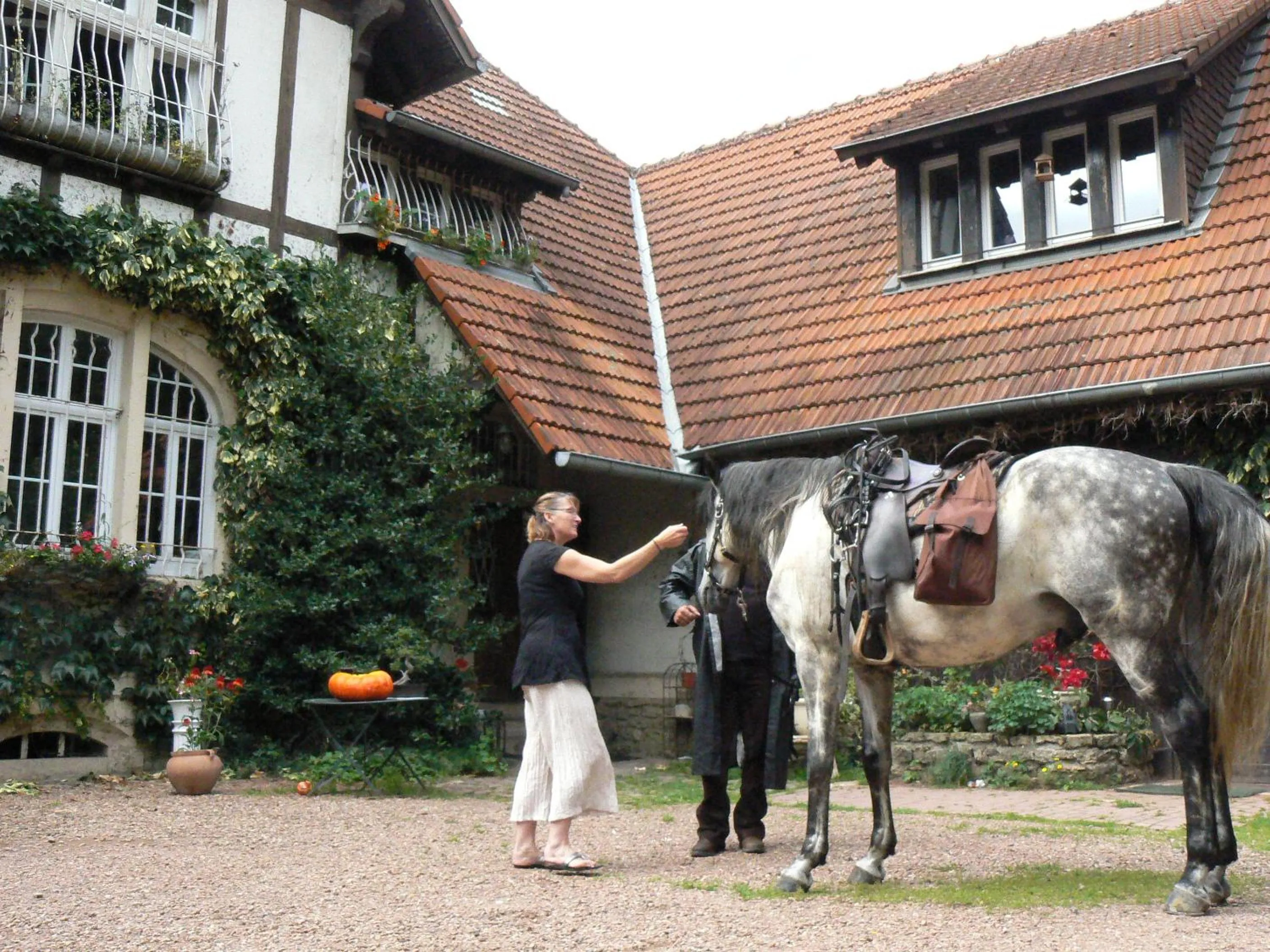 Horse-riding in Chambre d'hôtes du Moulin de Landonvillers