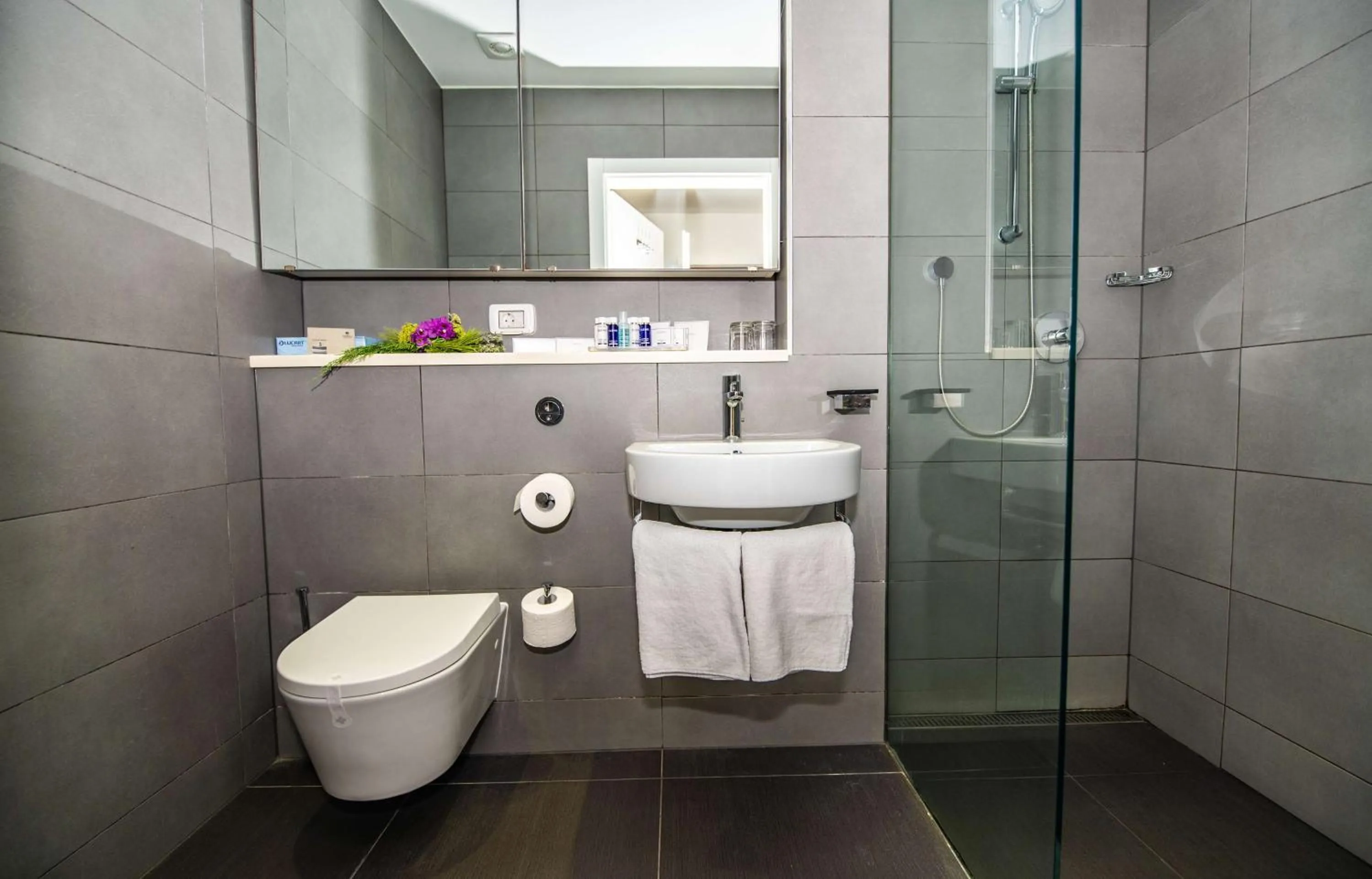 Toilet in Park Plaza Verudela Pula