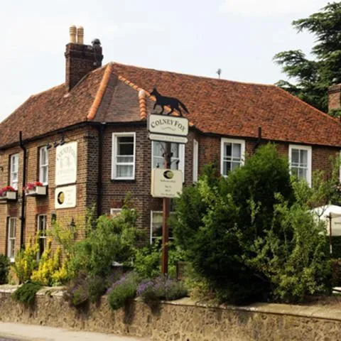 The Colney Fox by Innkeeper's Collection